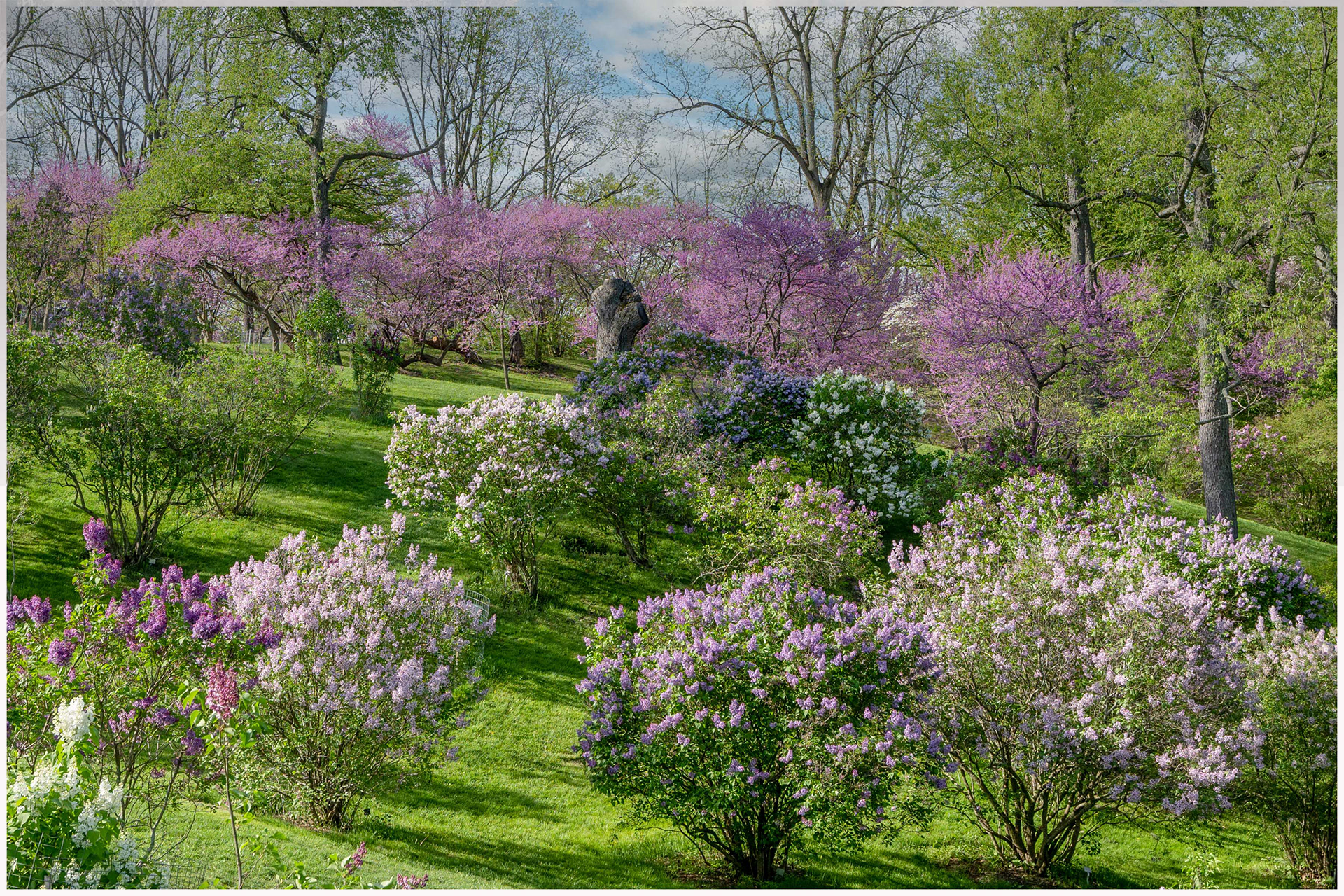 RBG Arboretum
