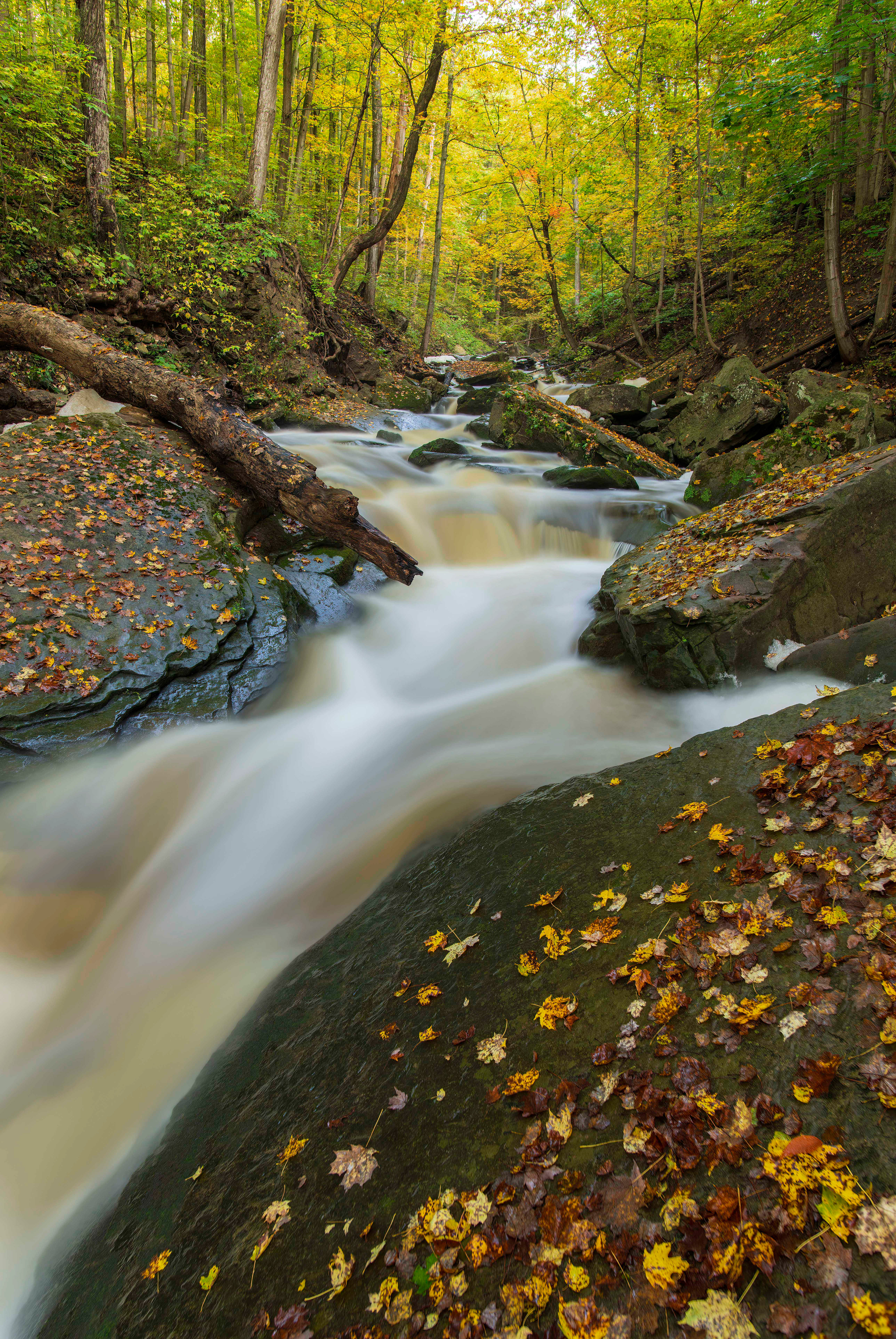 Smoky Hollow Waterfall - Waterdown