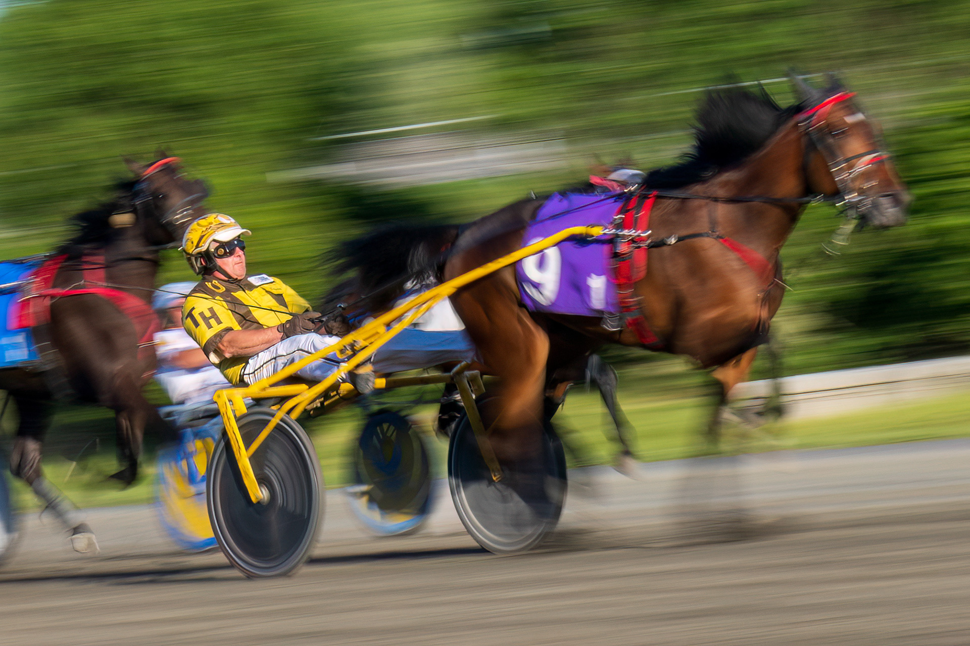 Woodbine Mohawk Park