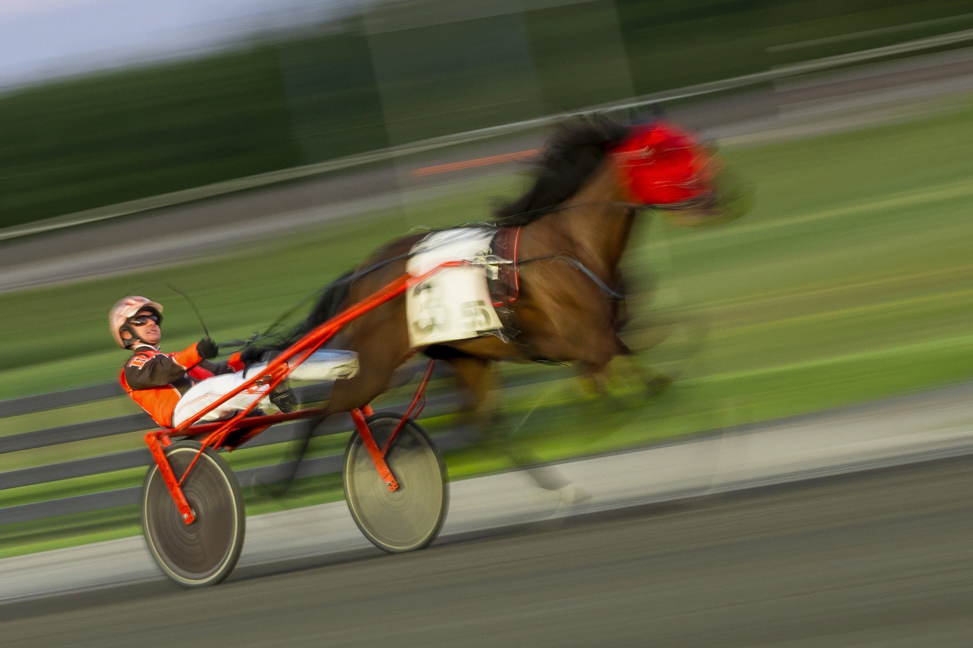 Woodbine Mohawk Park