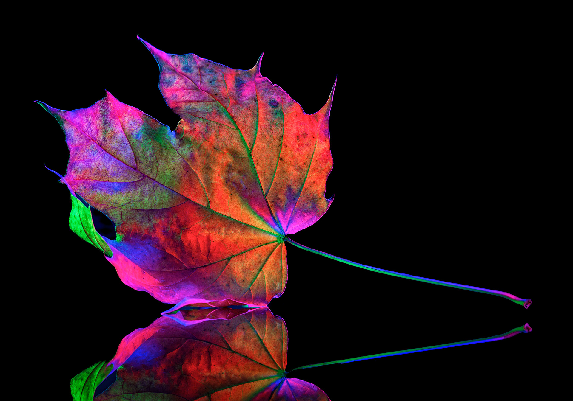 Single Exp. - Test #1