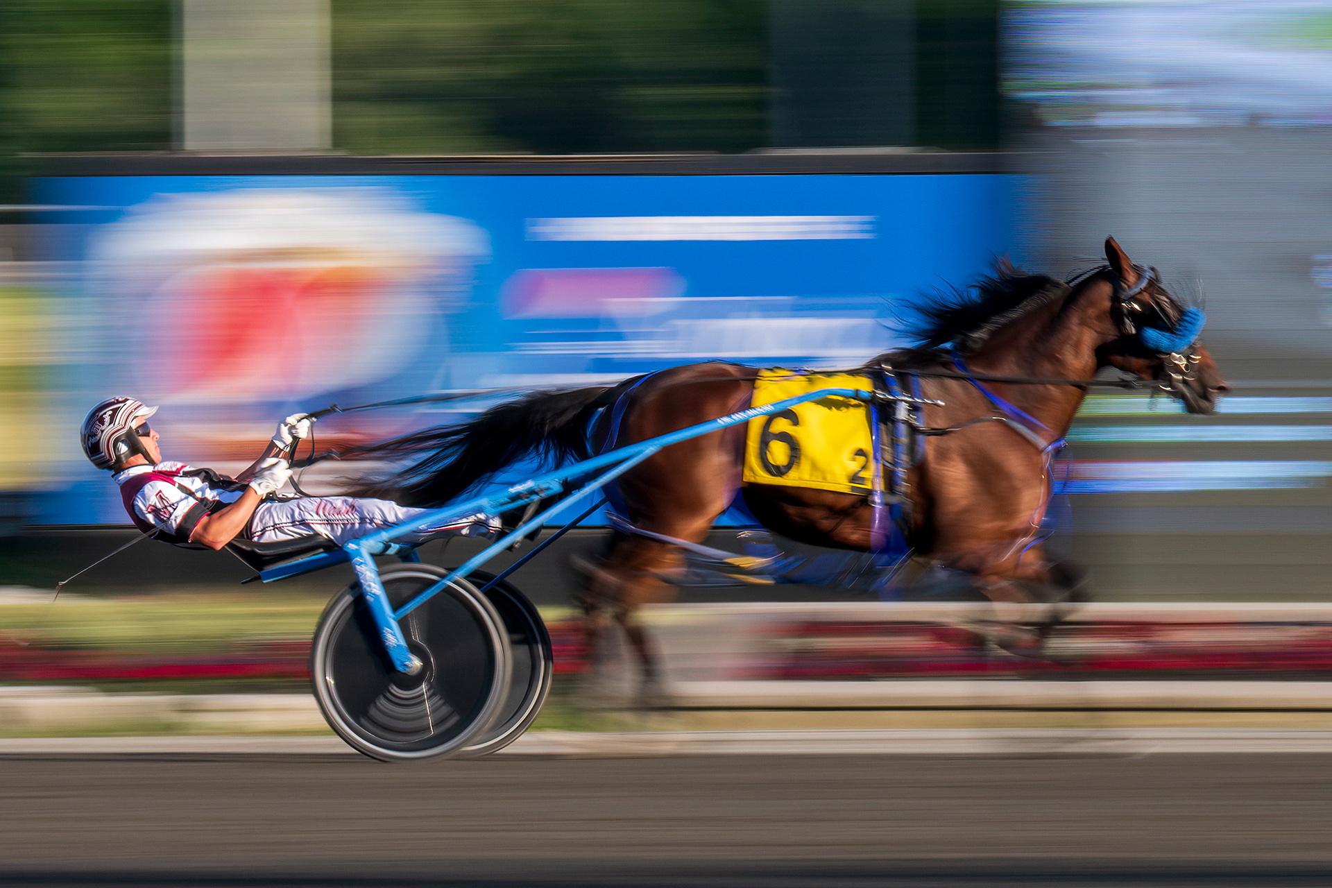 Woodbine Mohawk Park