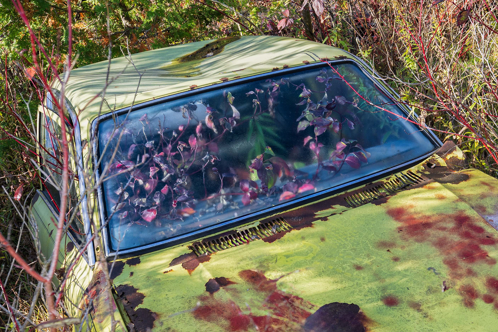 McLean's Auto Wreckers - 2024