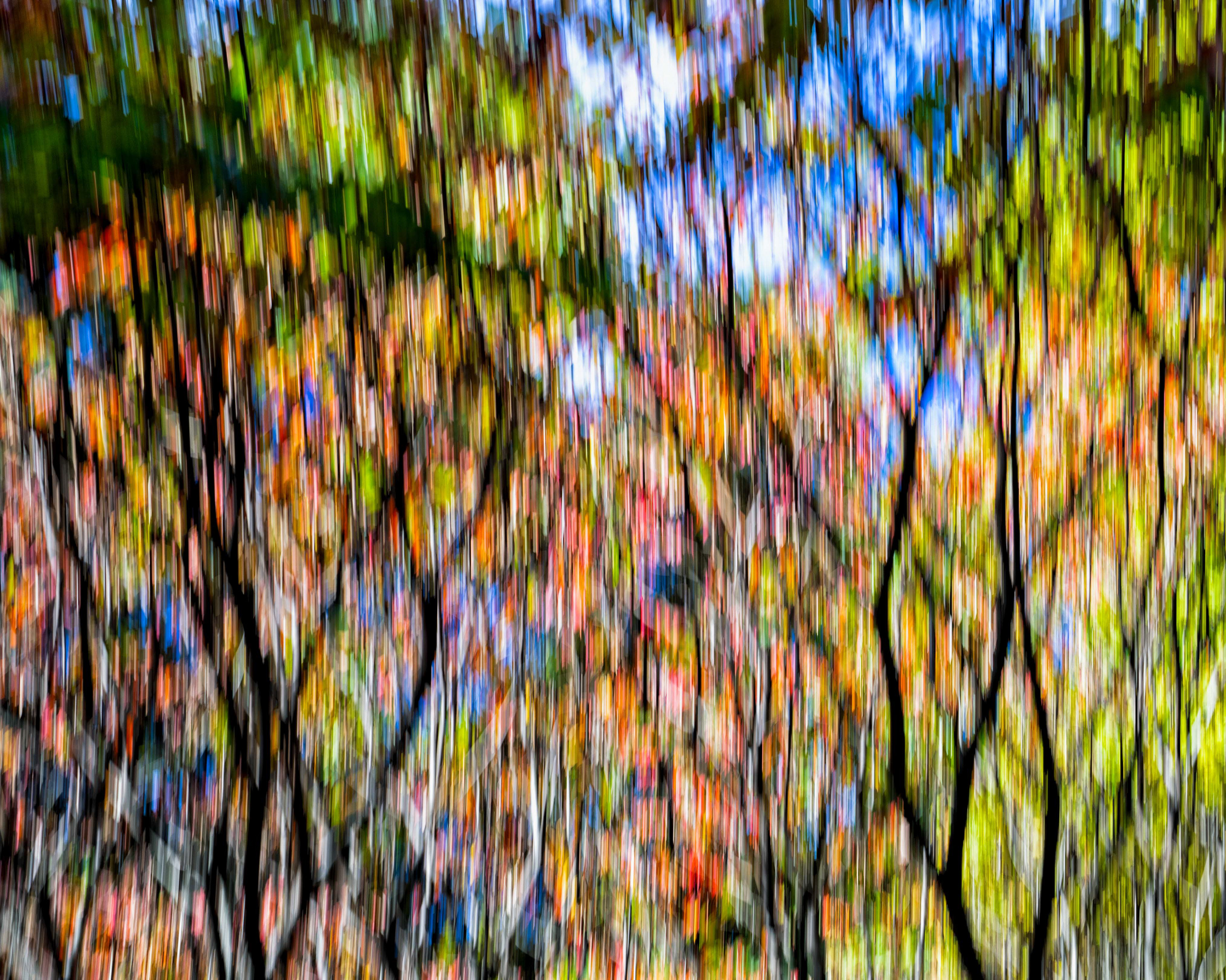 Bronte Creek Prov. Park - Oakville
