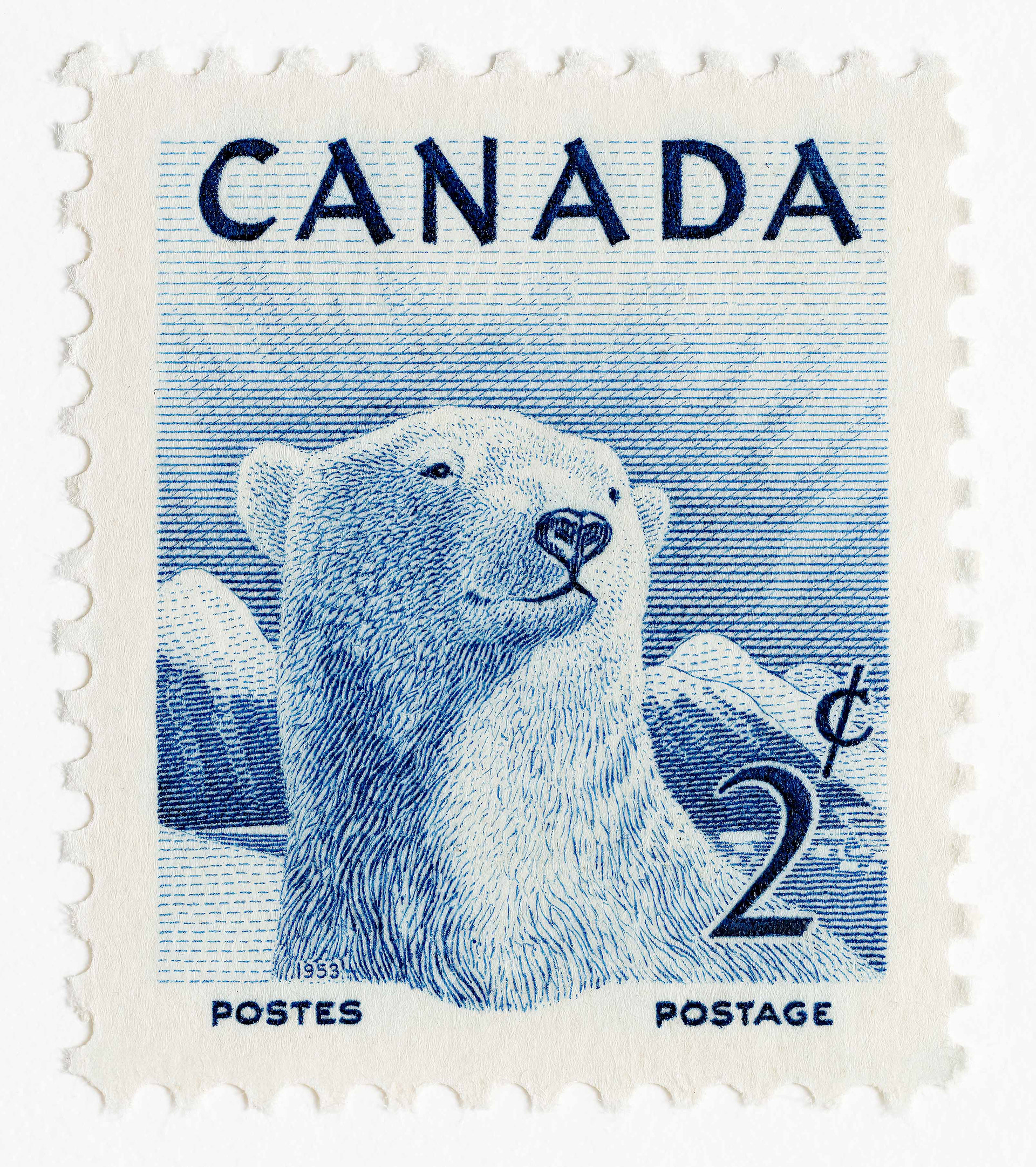 Polar Bear Stamp