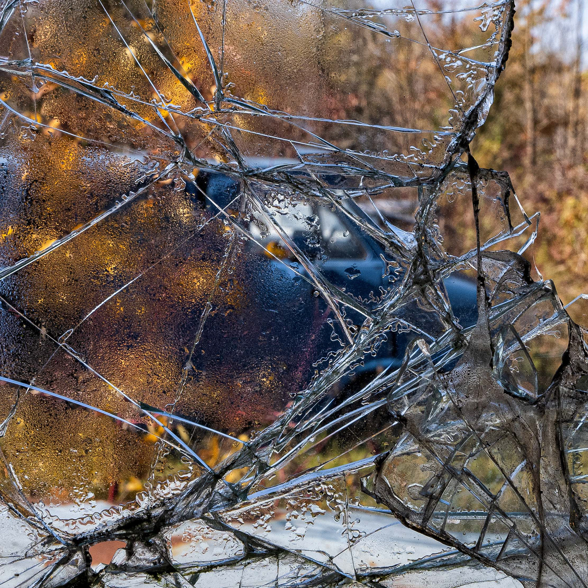 McLean's Auto Wreckers - 2024