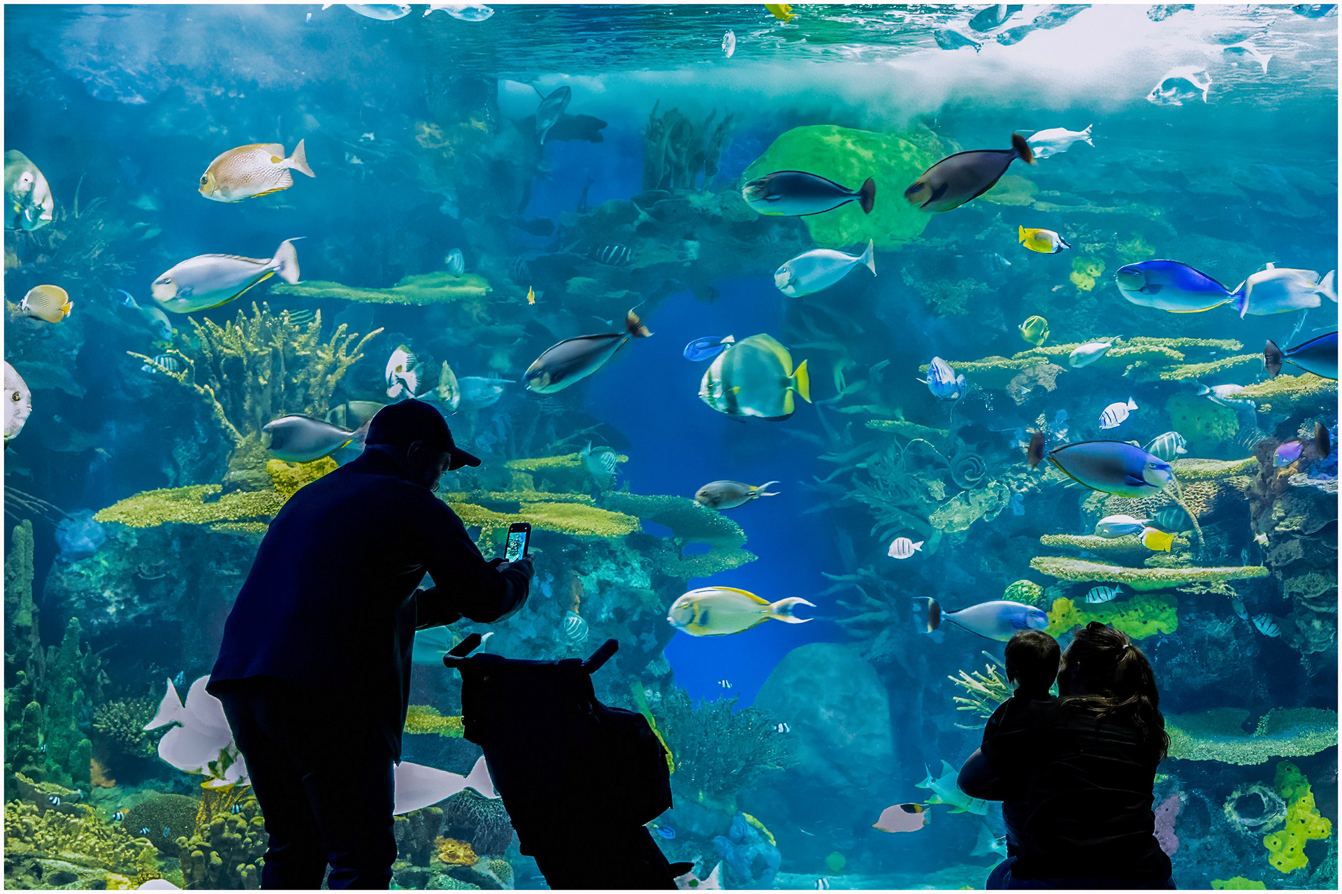 Ripley's - Toronto
