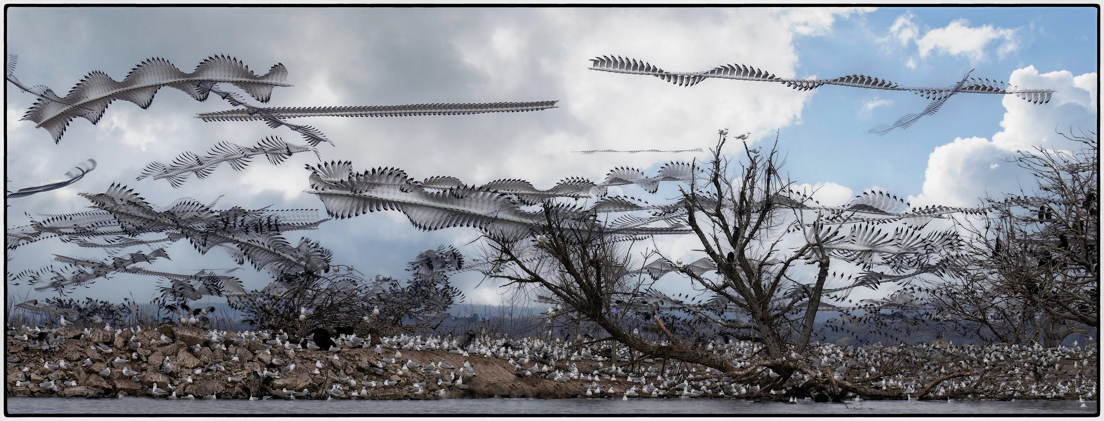 Sequence Test - Hamilton Harbour