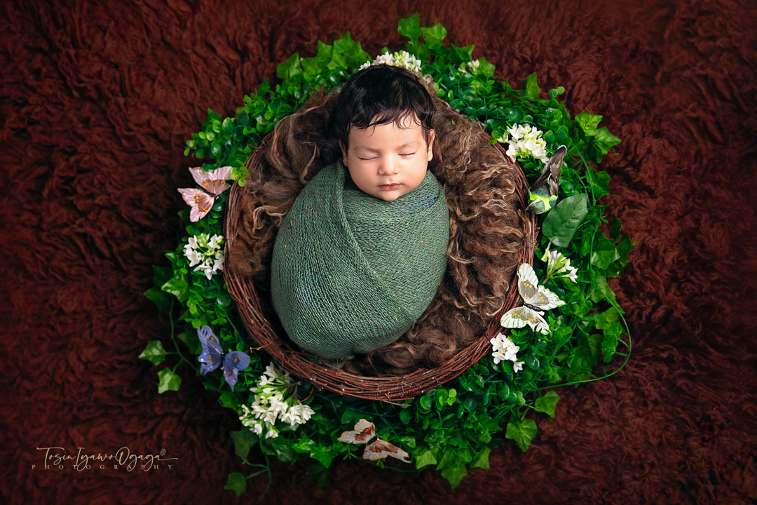 Newborn baby posed in a basket with flowers by TIO Photography