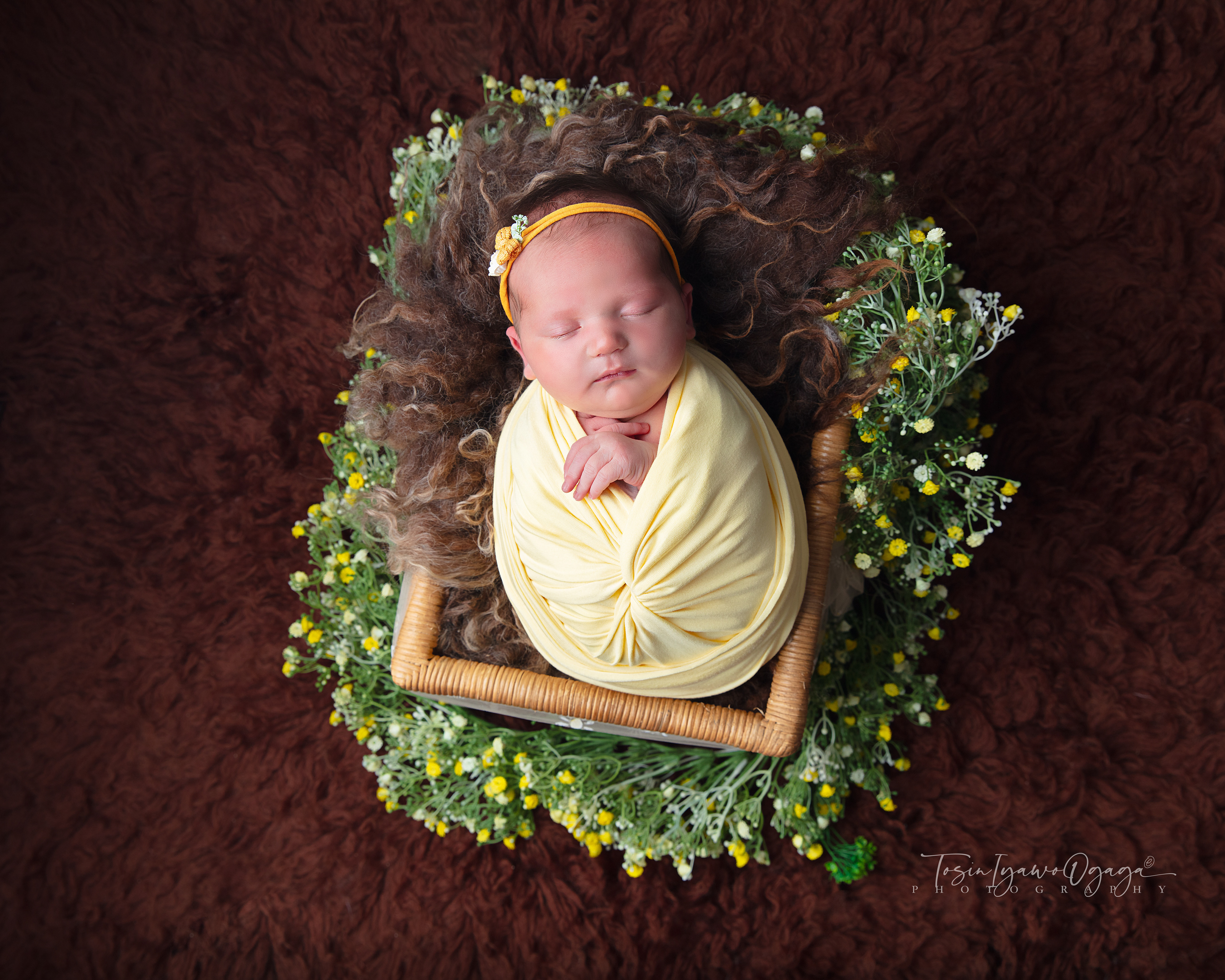 Yellow Dreams by TIO Photography