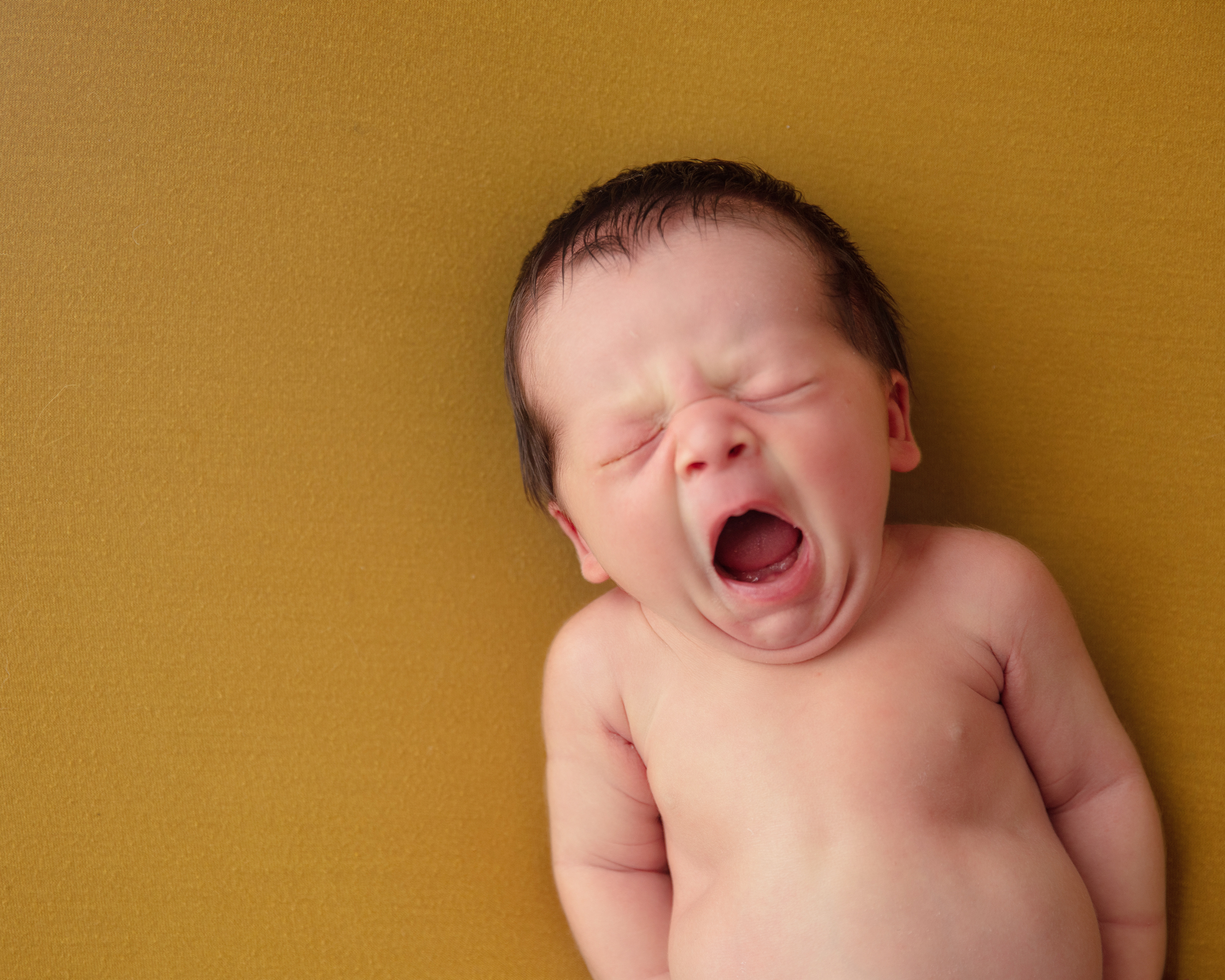 'Yawn' by TIO Photography