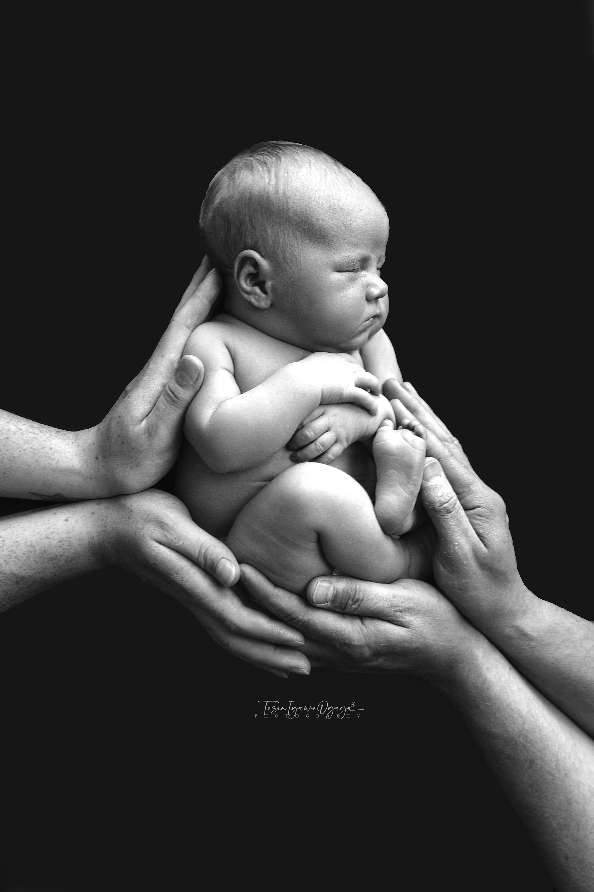 Nestled in Love NEWBORN by TIO Photography