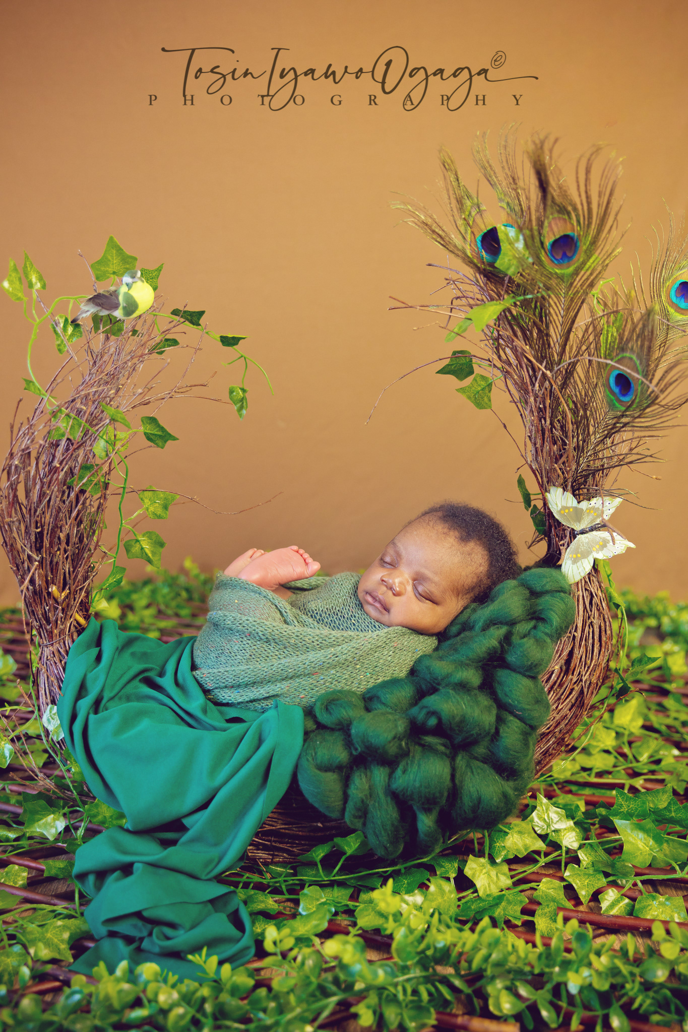 Floating in Green by TIO Photography