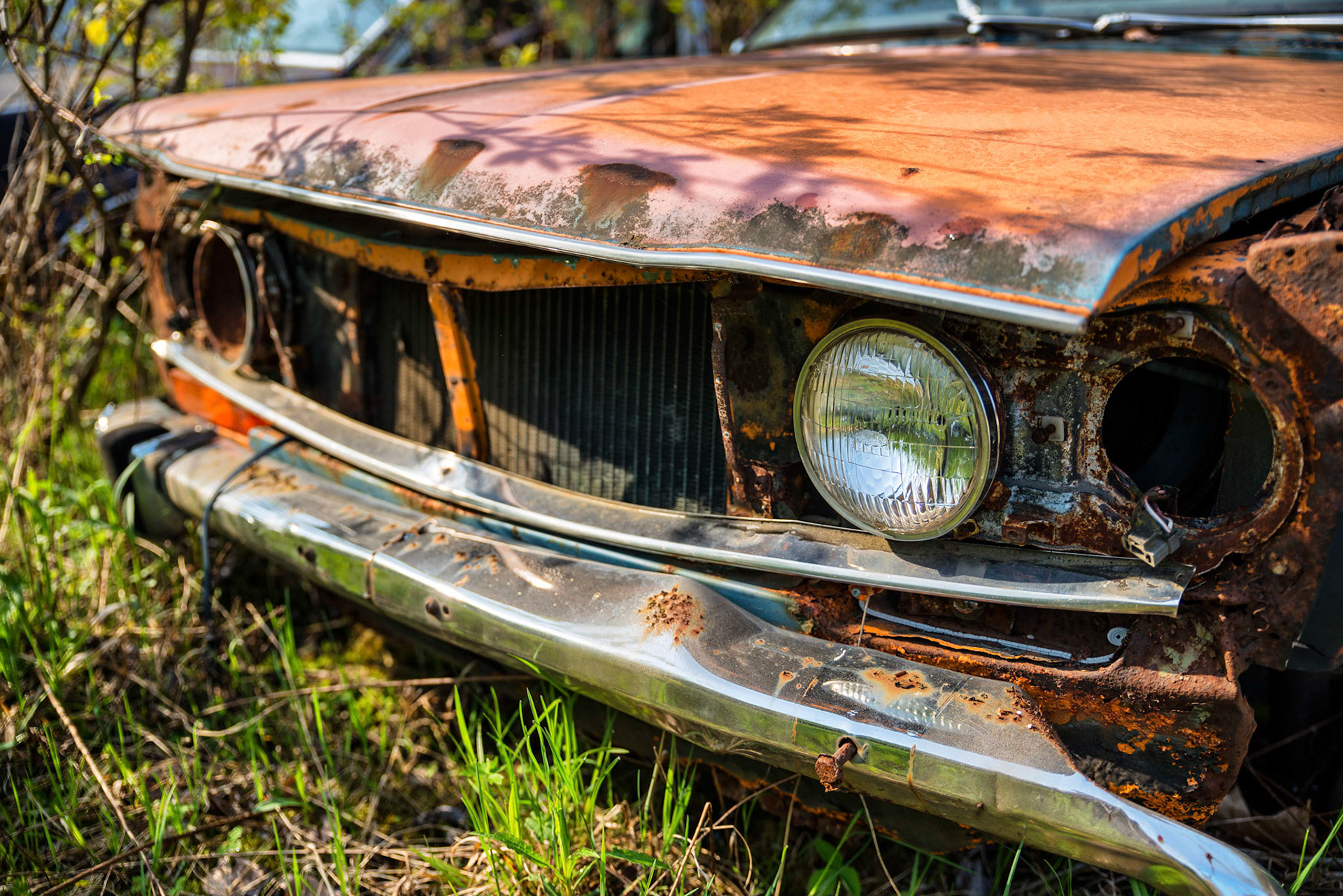 From my series at McLeans autowreckers.