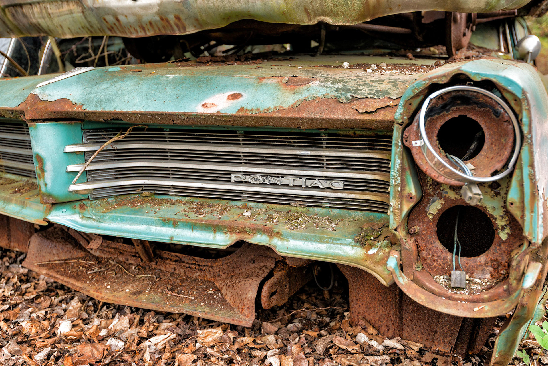 From my series at McLeans autowreckers.