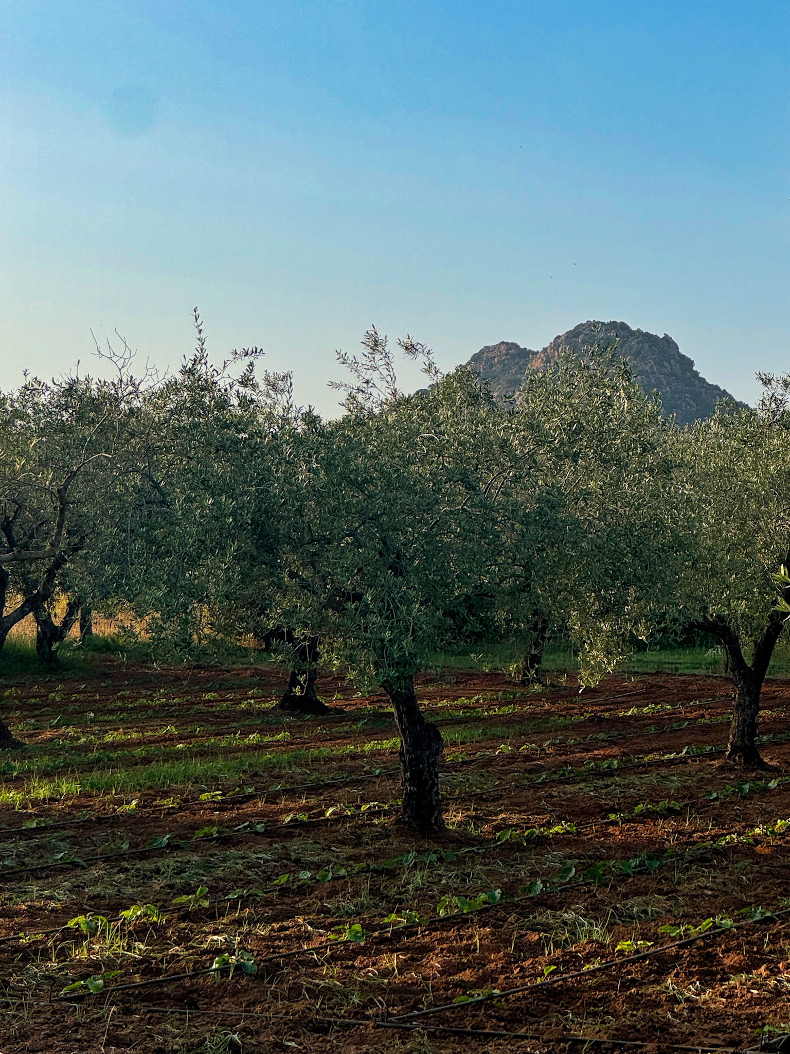 Sardegna, Italy