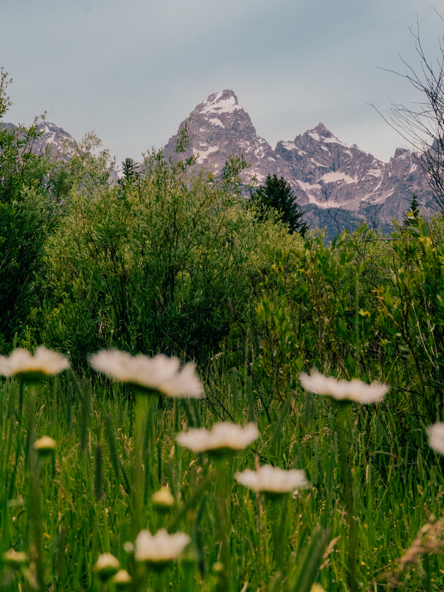 Grand Teton National Park, Wyoming