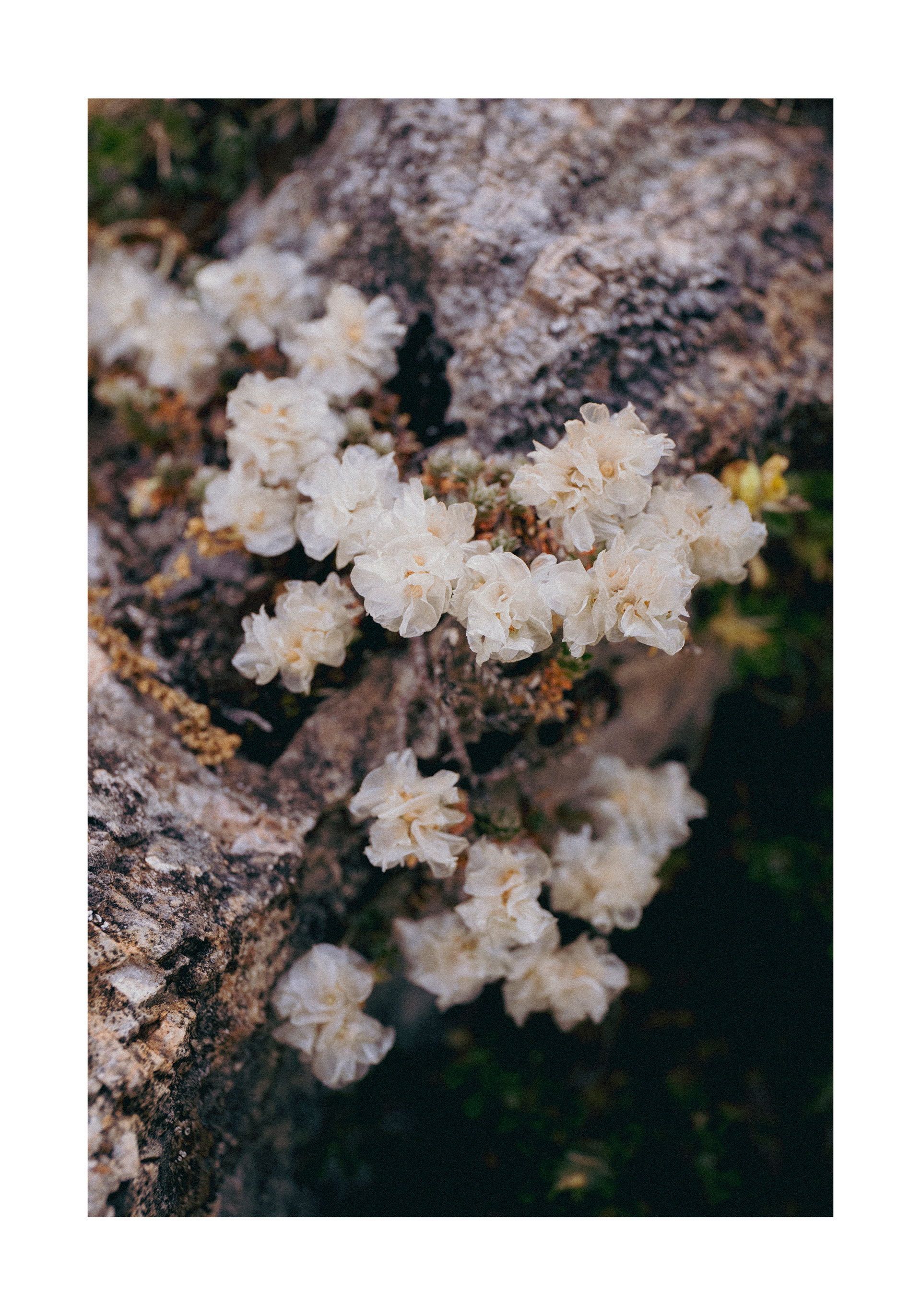 21x30 (25€)