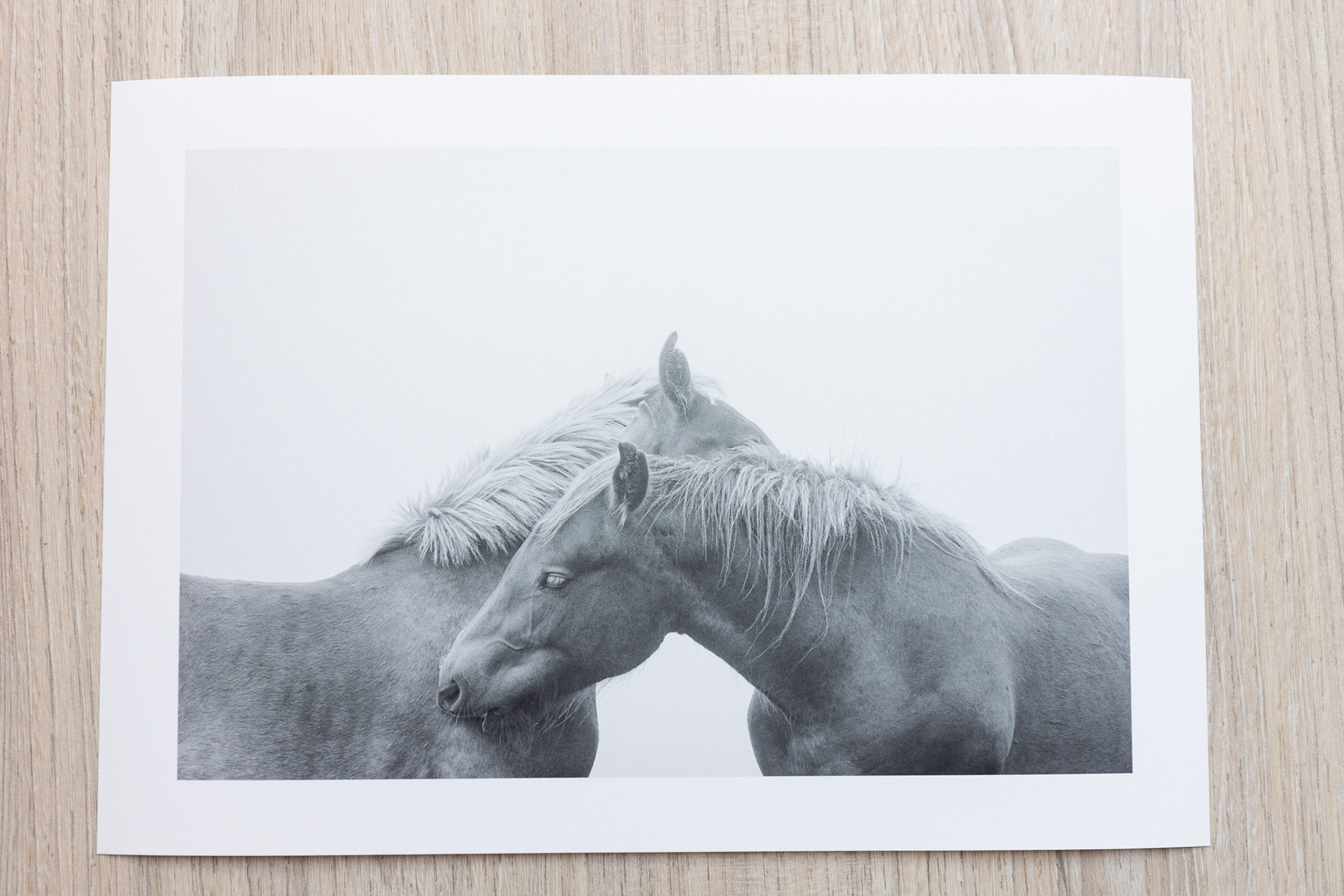 21x30 (25€)