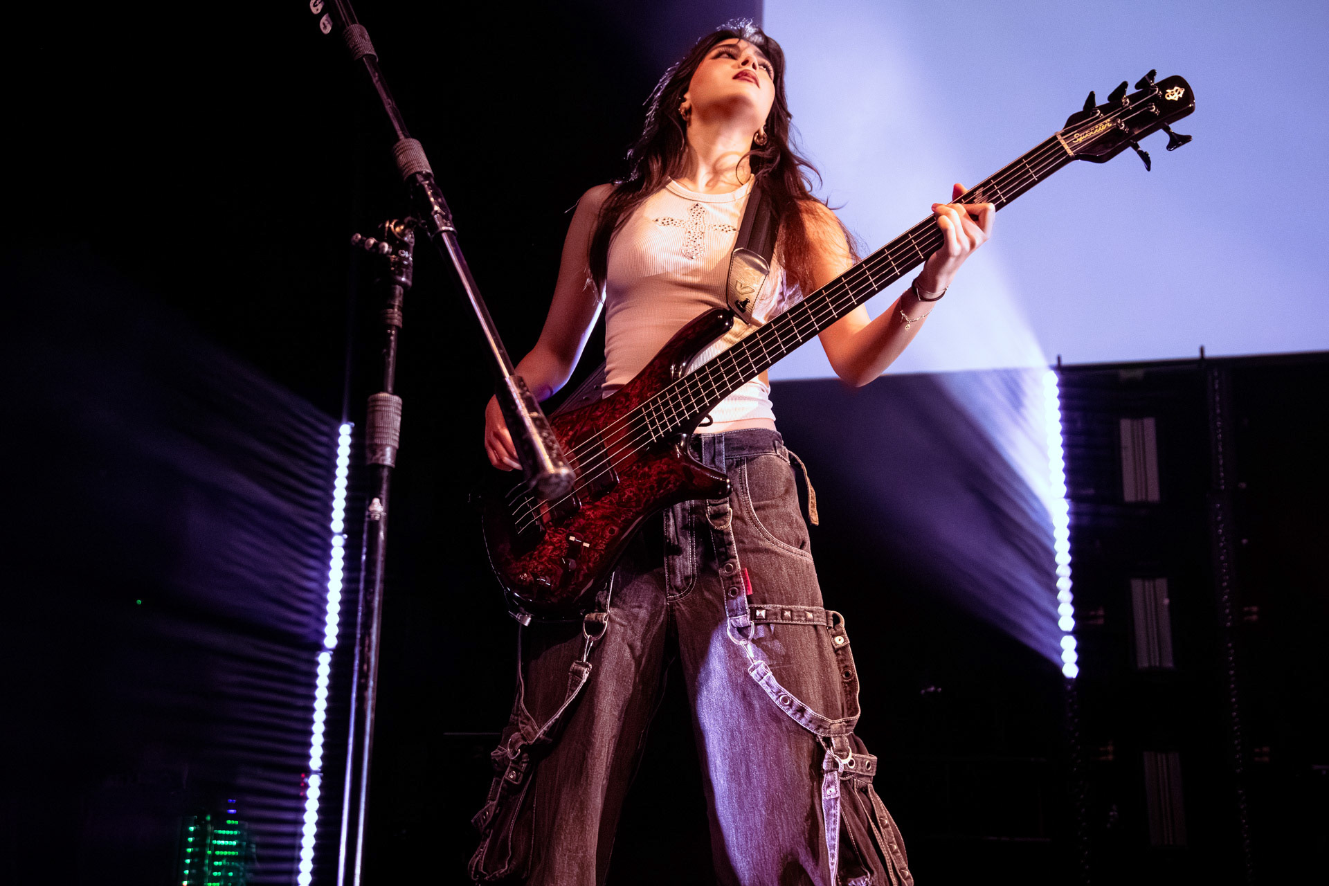 Alejandra Villarreal Vélez