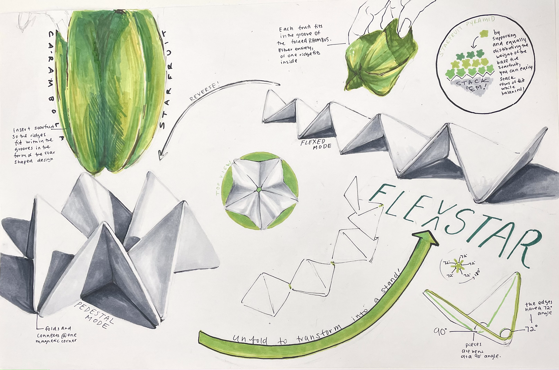 Concept sketch of fruit display
