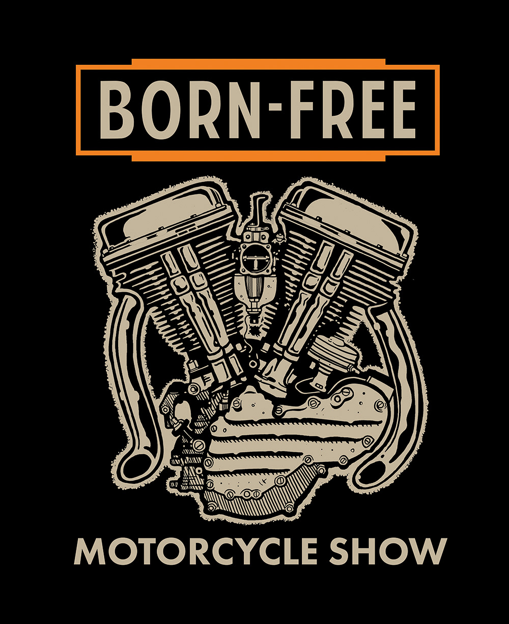 CUSTOM ENGINE SET FOR BORN-FREE / PANHEAD