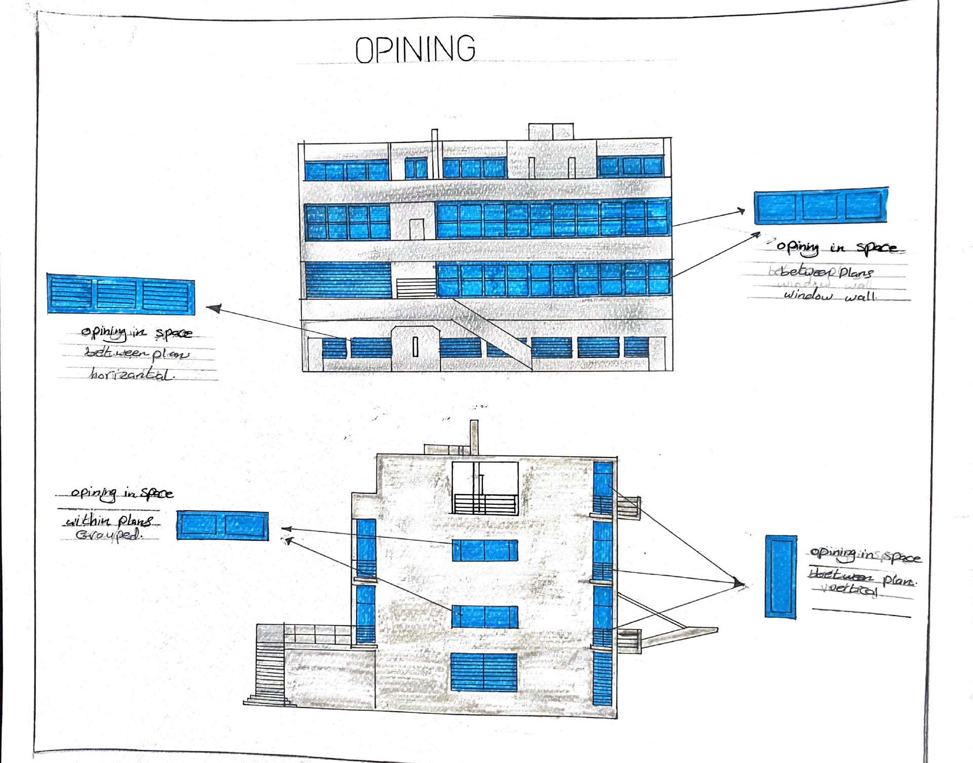 نور النباهين - تدريب بصري- المشروع النهائي