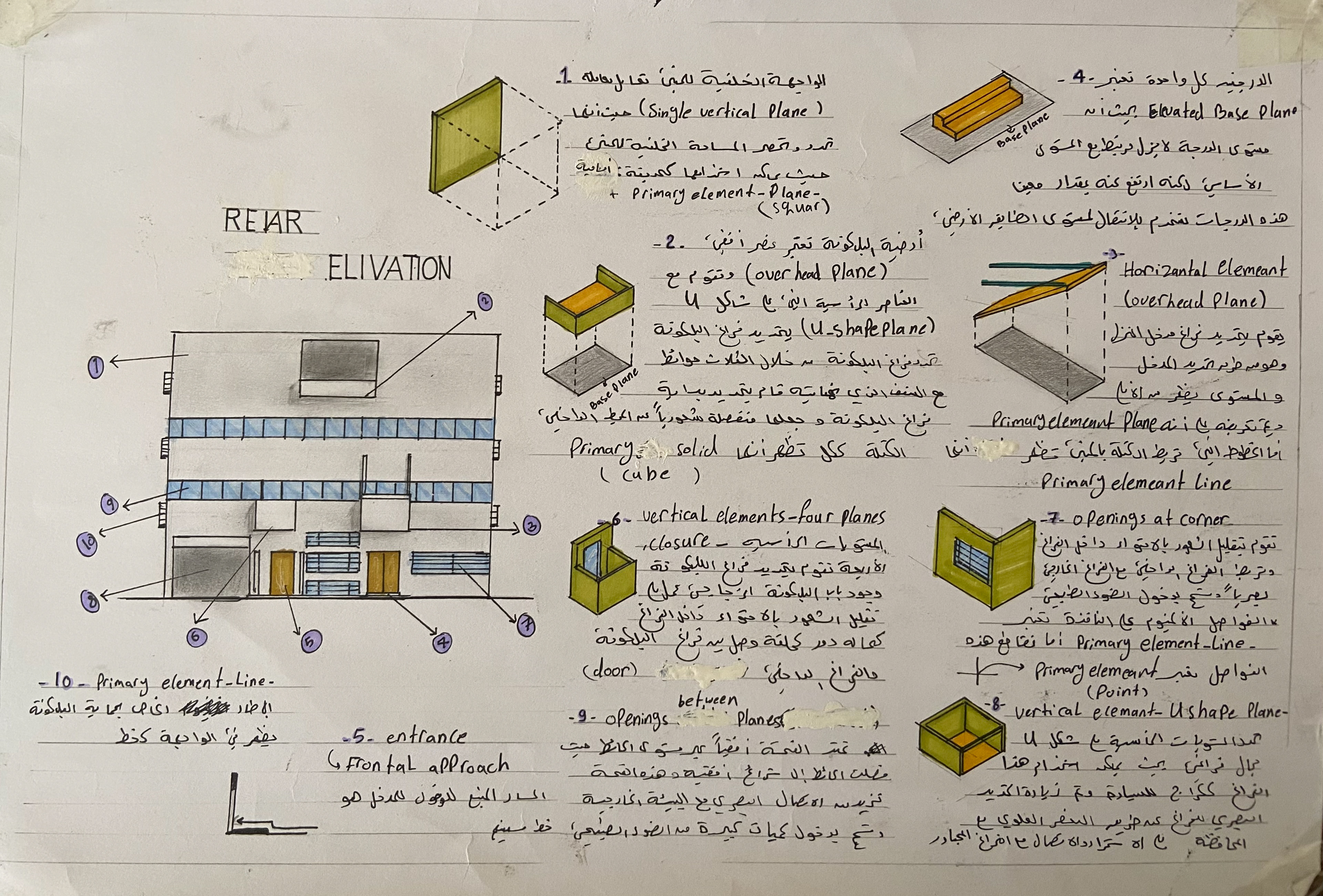 ألاء جنينة - تدريب بصري- المشروع النهائي