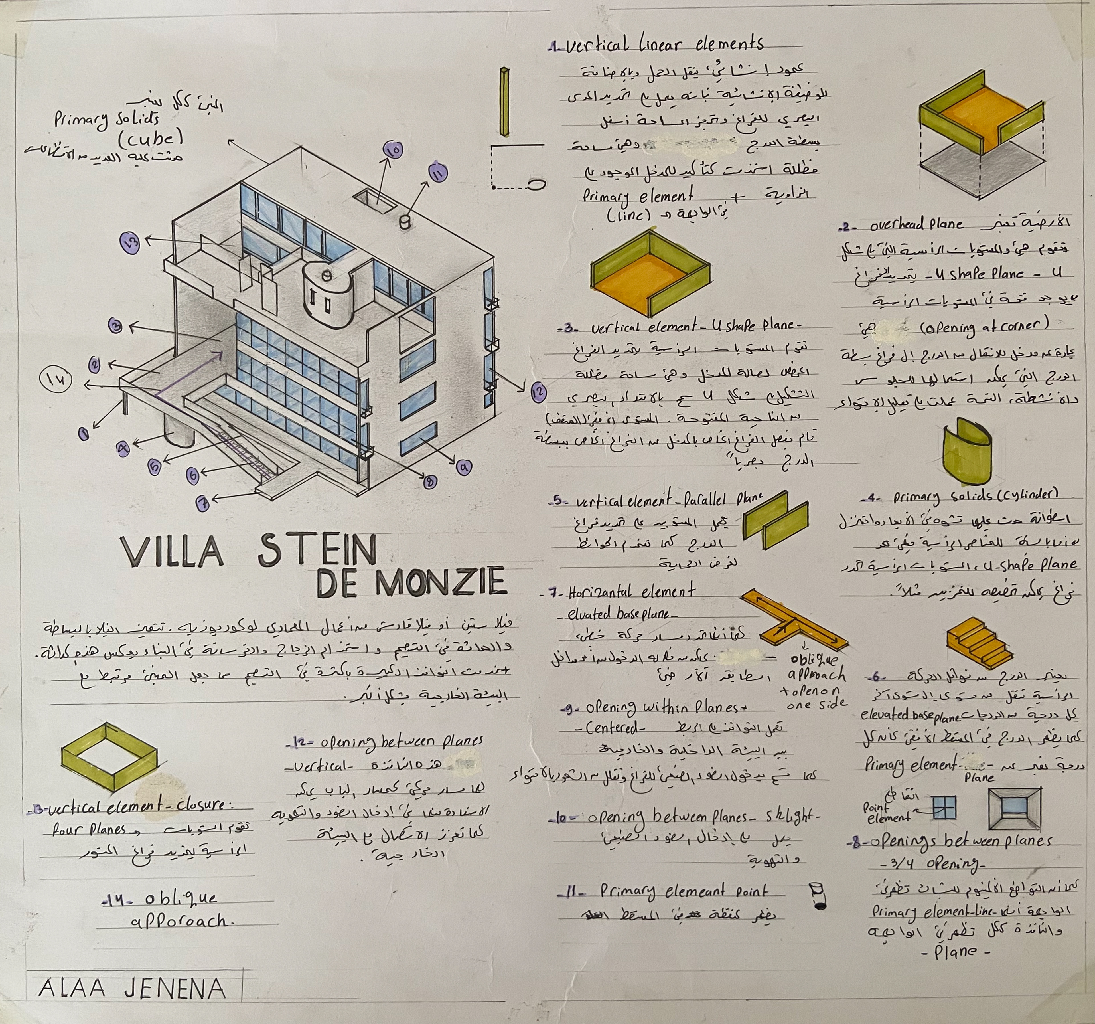 ألاء جنينة - تدريب بصري- المشروع النهائي