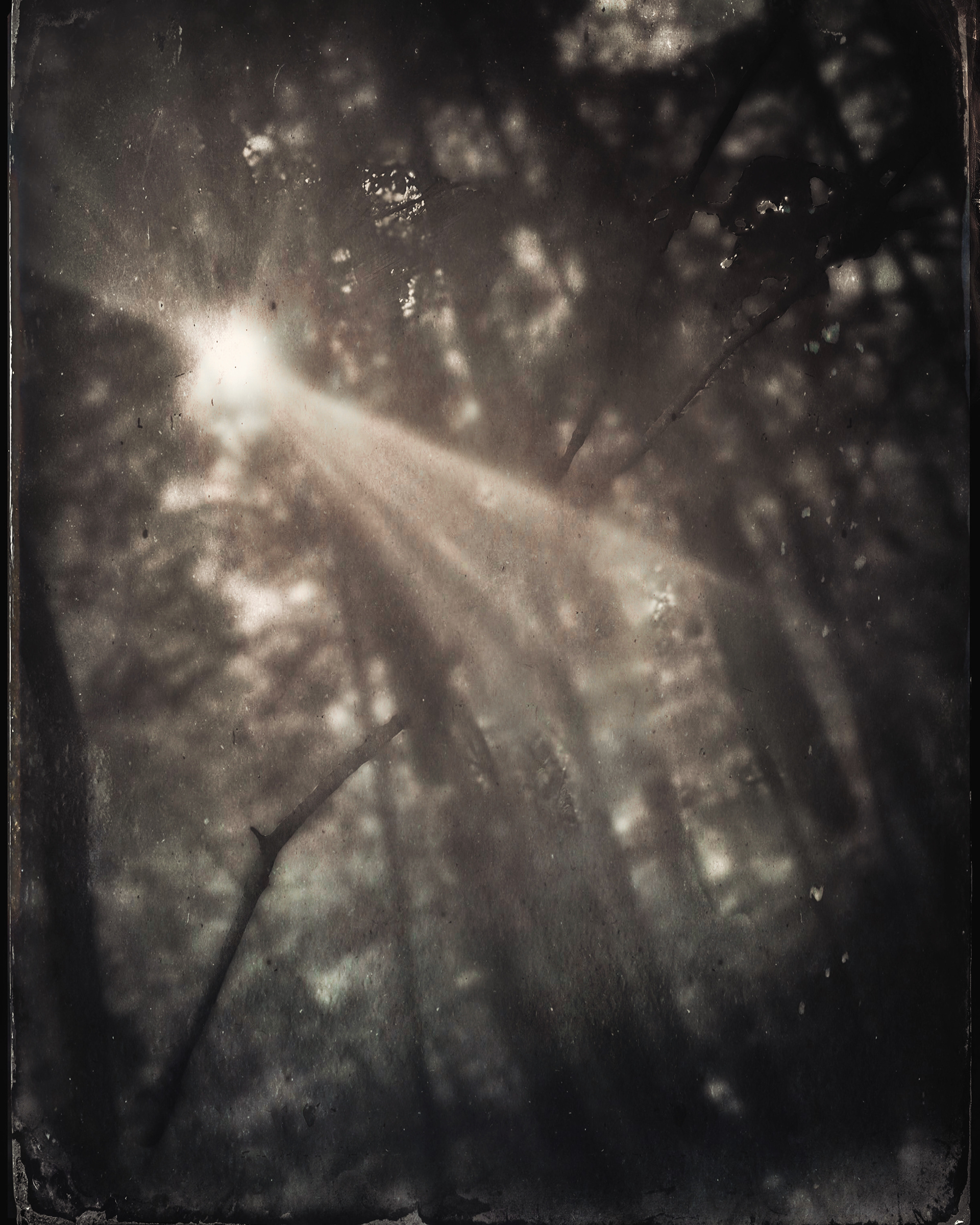 Rays, Newport News, VA