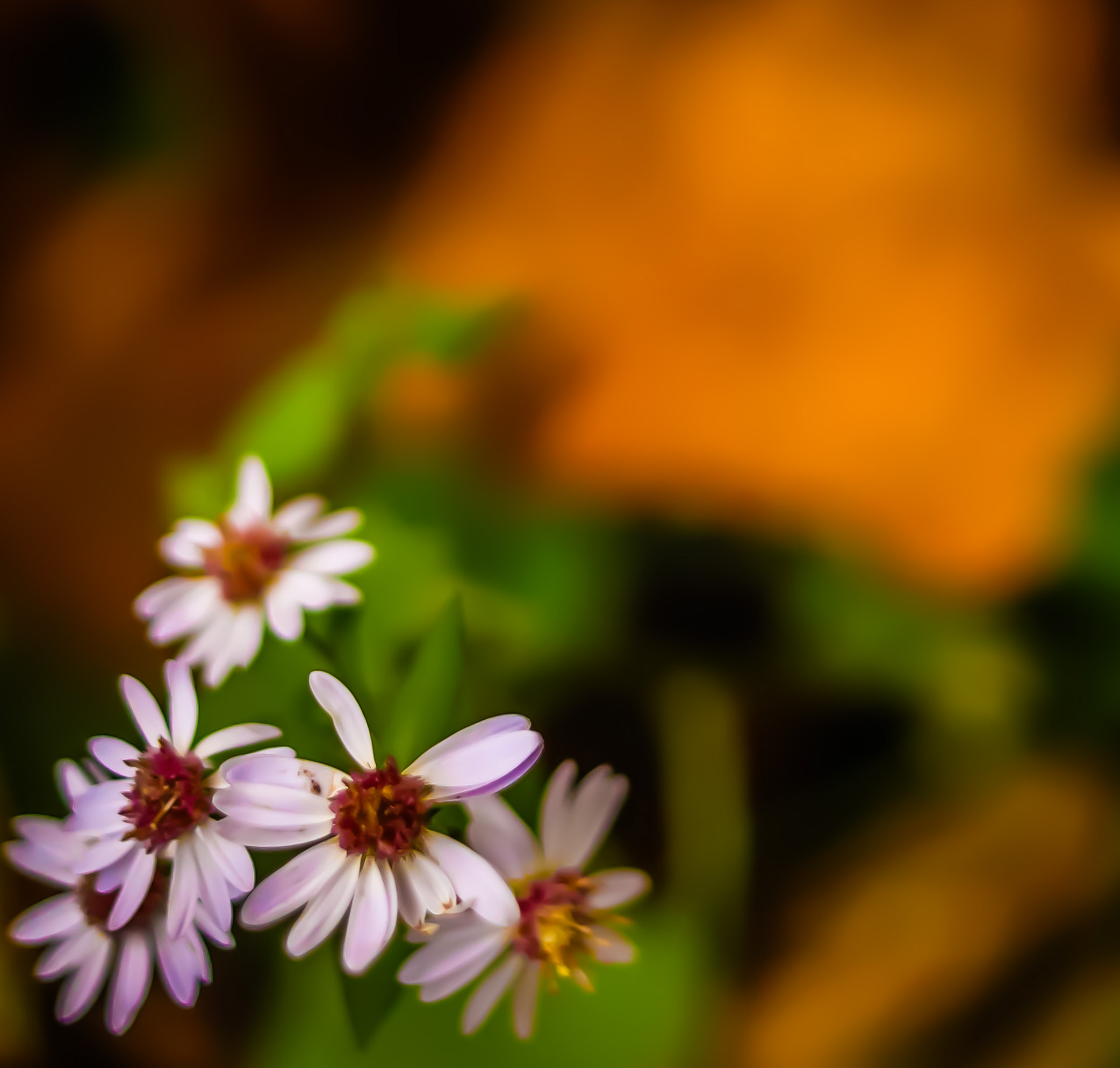 Untitled, Verona, VA