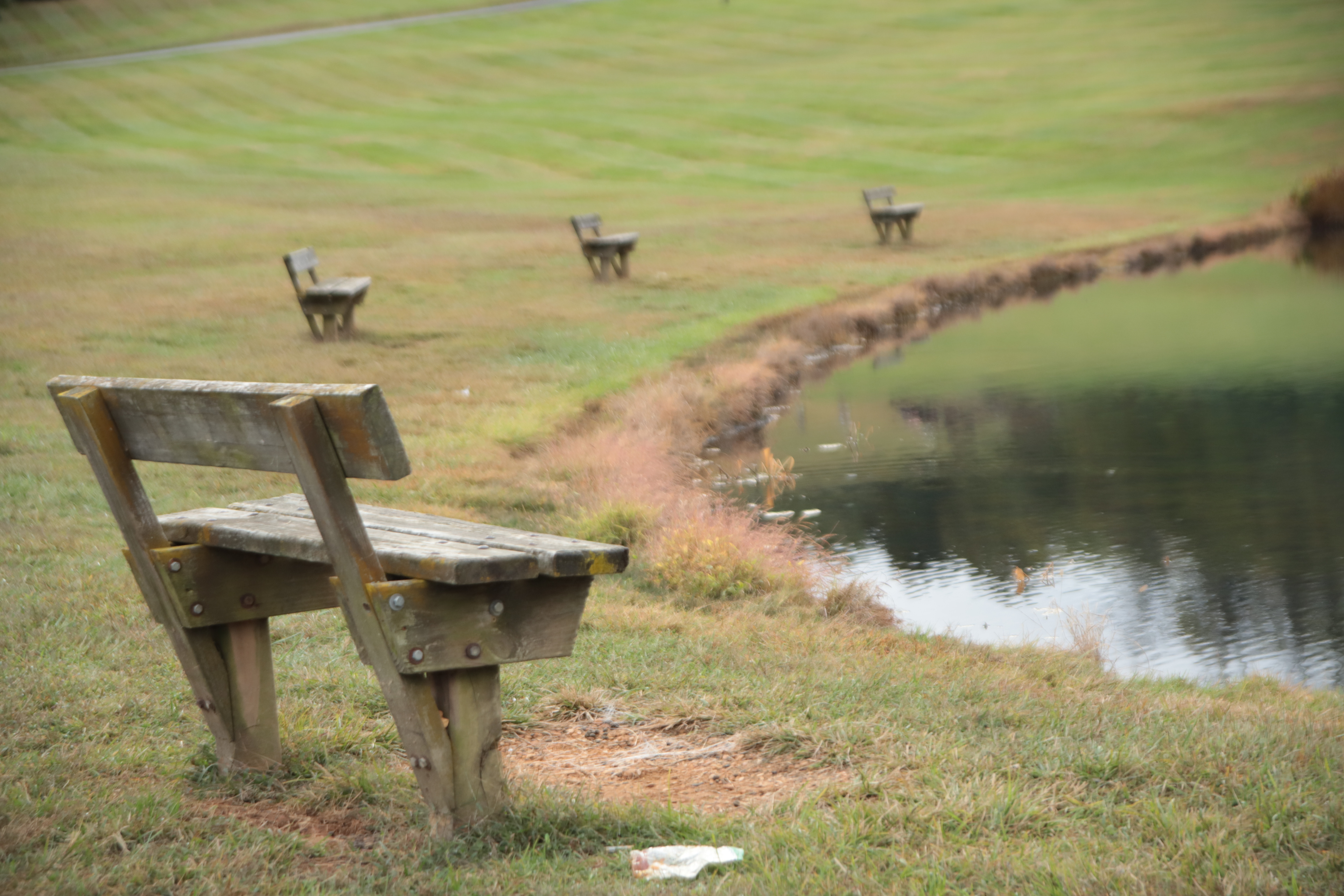 Untitled, Verona, VA 