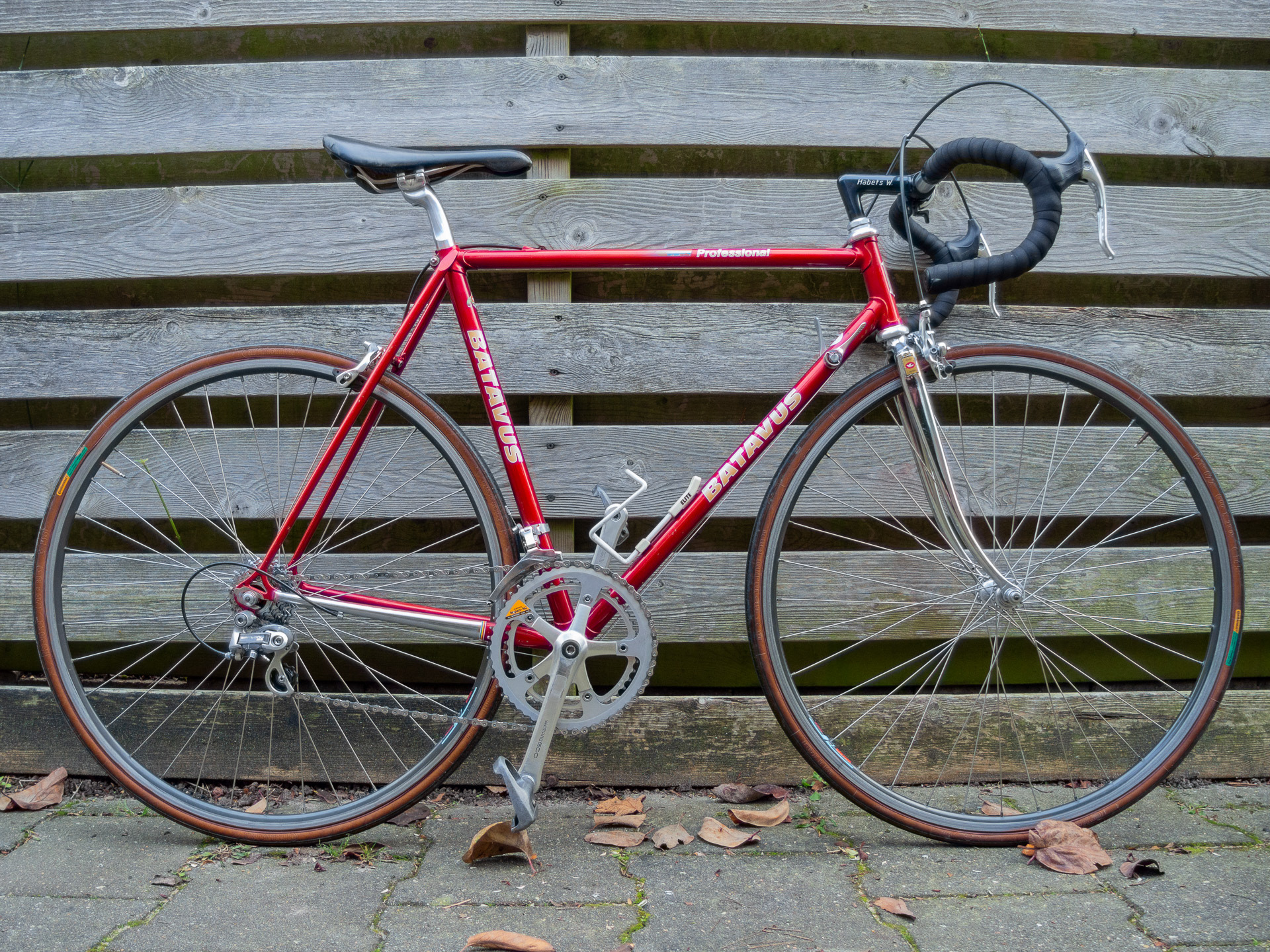 Batavus Professional. Vooral met de voorvork heel wat te stellen gehad. Met gepersonaliseerde stuurpen!