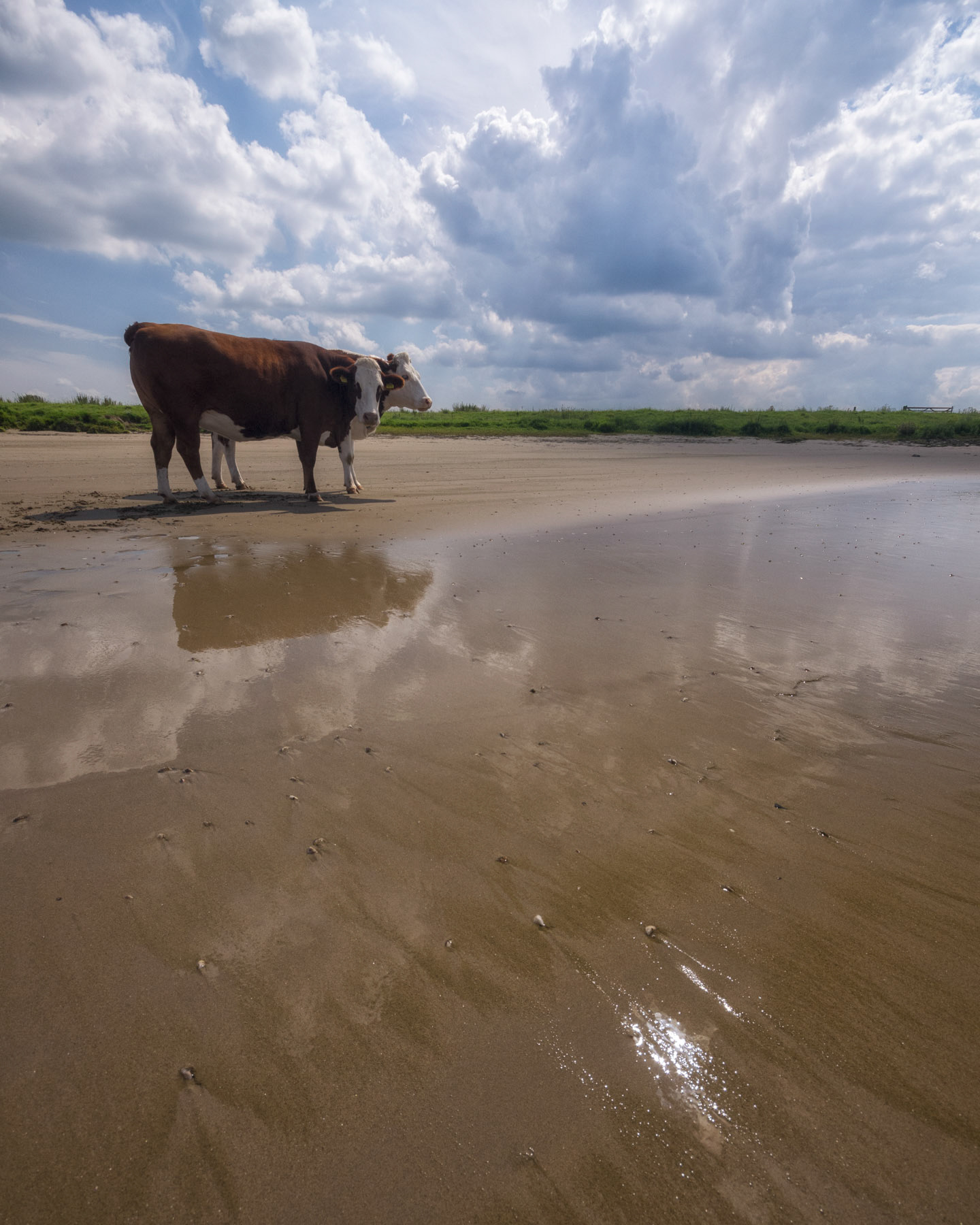 Warme zomermiddag