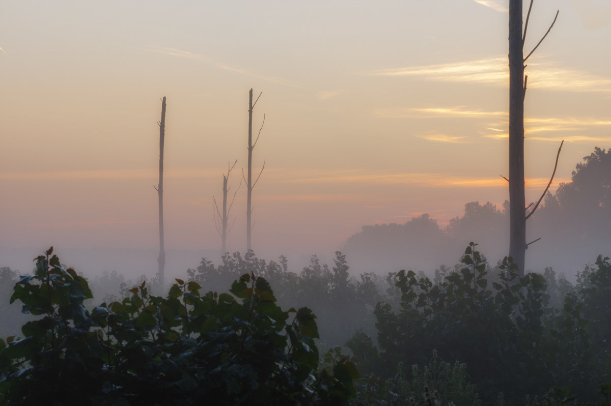 Zomermorgen aan de Dwarssteeg, na het rooien.