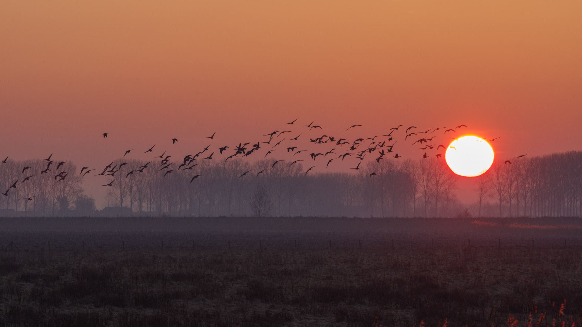 Zonsopkomst.
