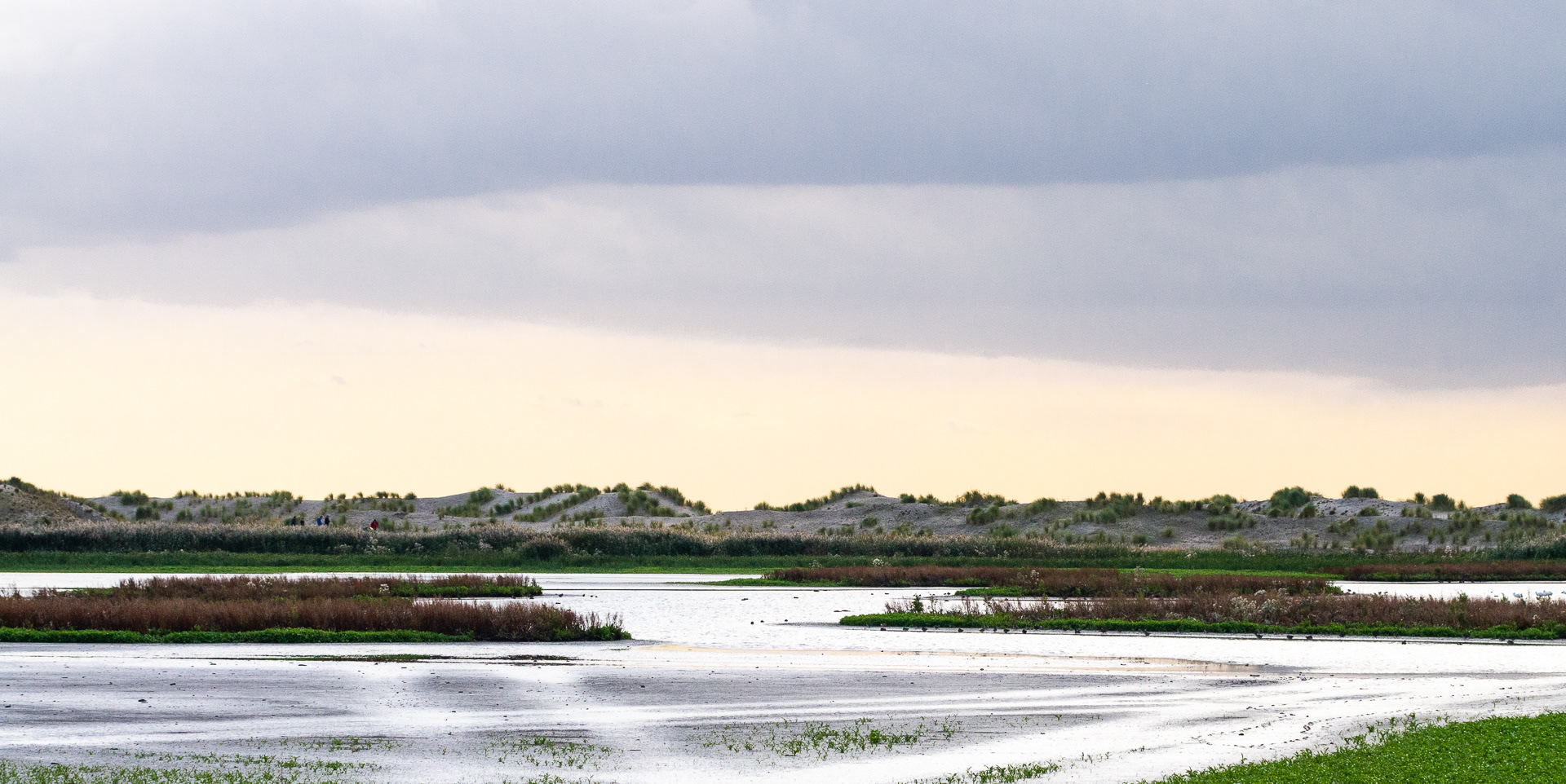 Wetlands