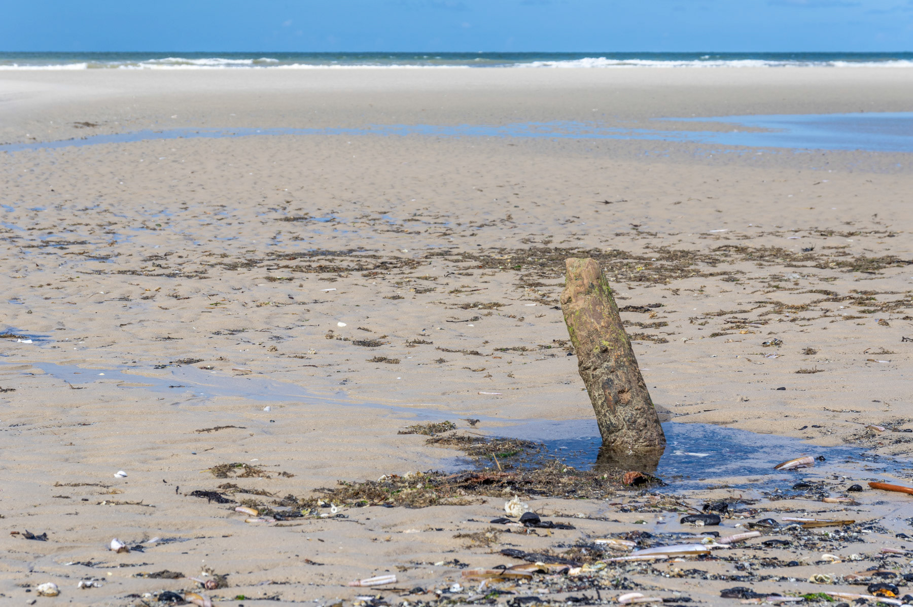 Eb tussen Équihen-Plage en Écault