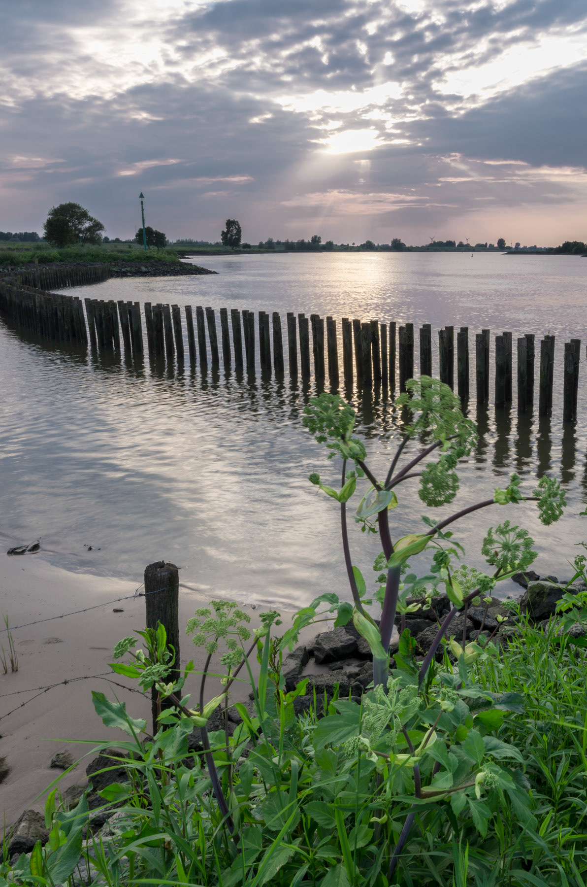 Zomeravond