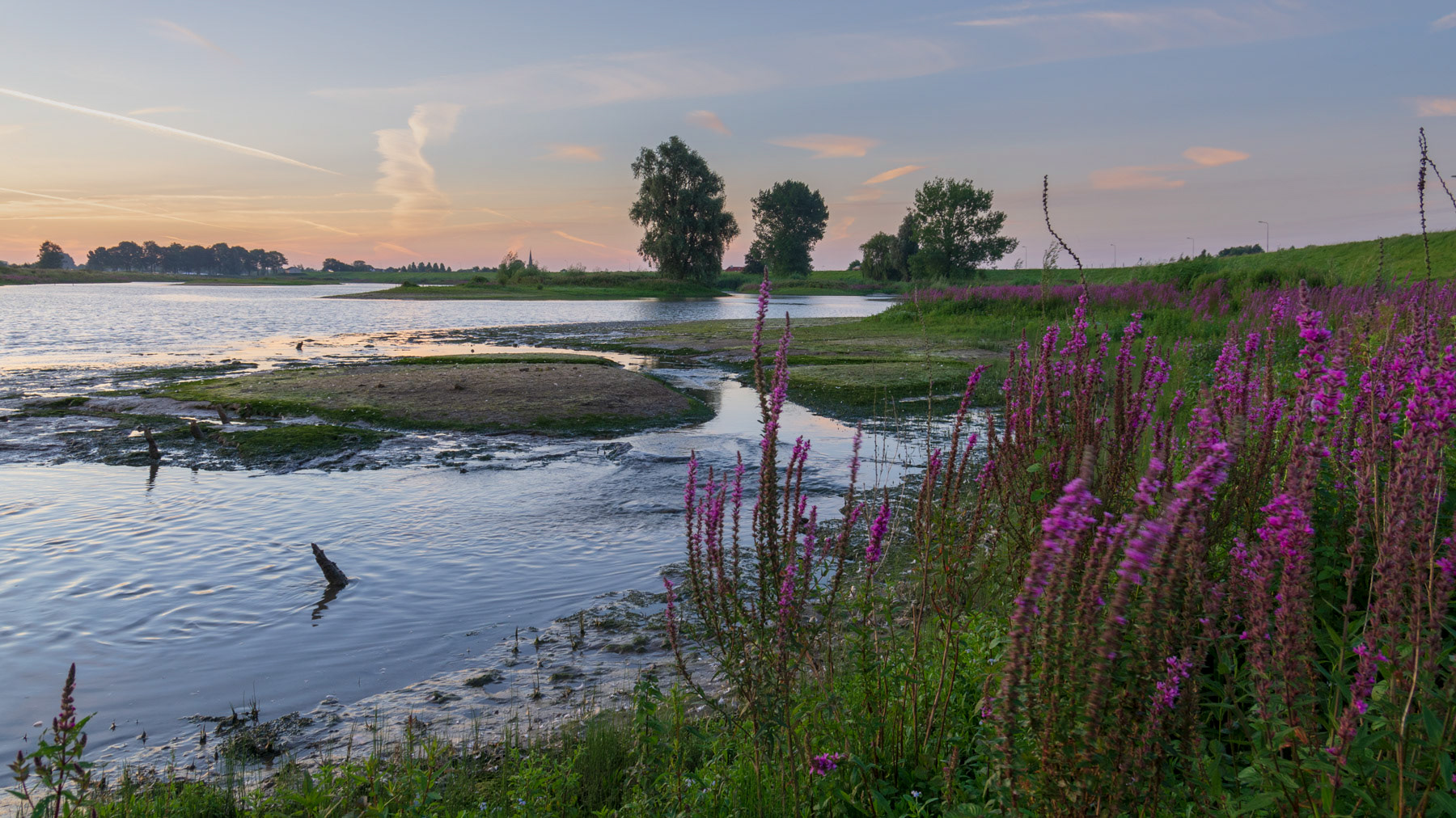Zomeravond