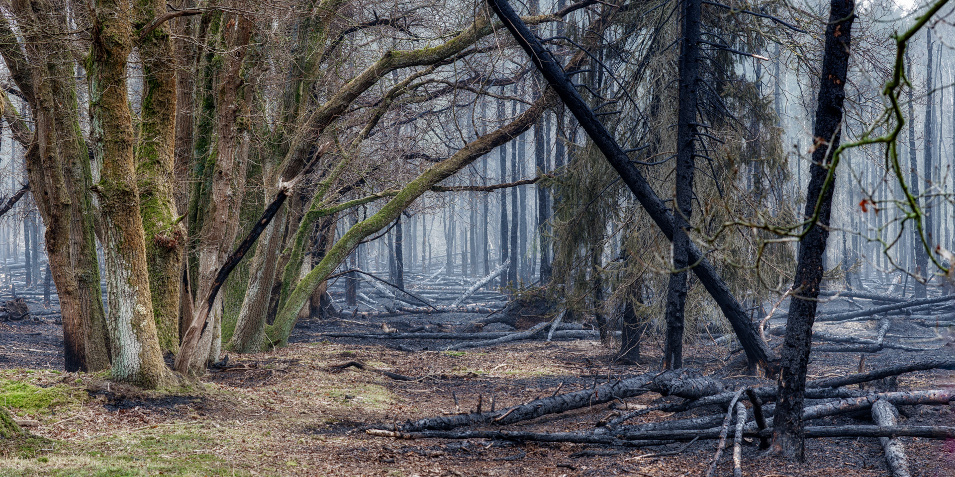 De grens van de brand