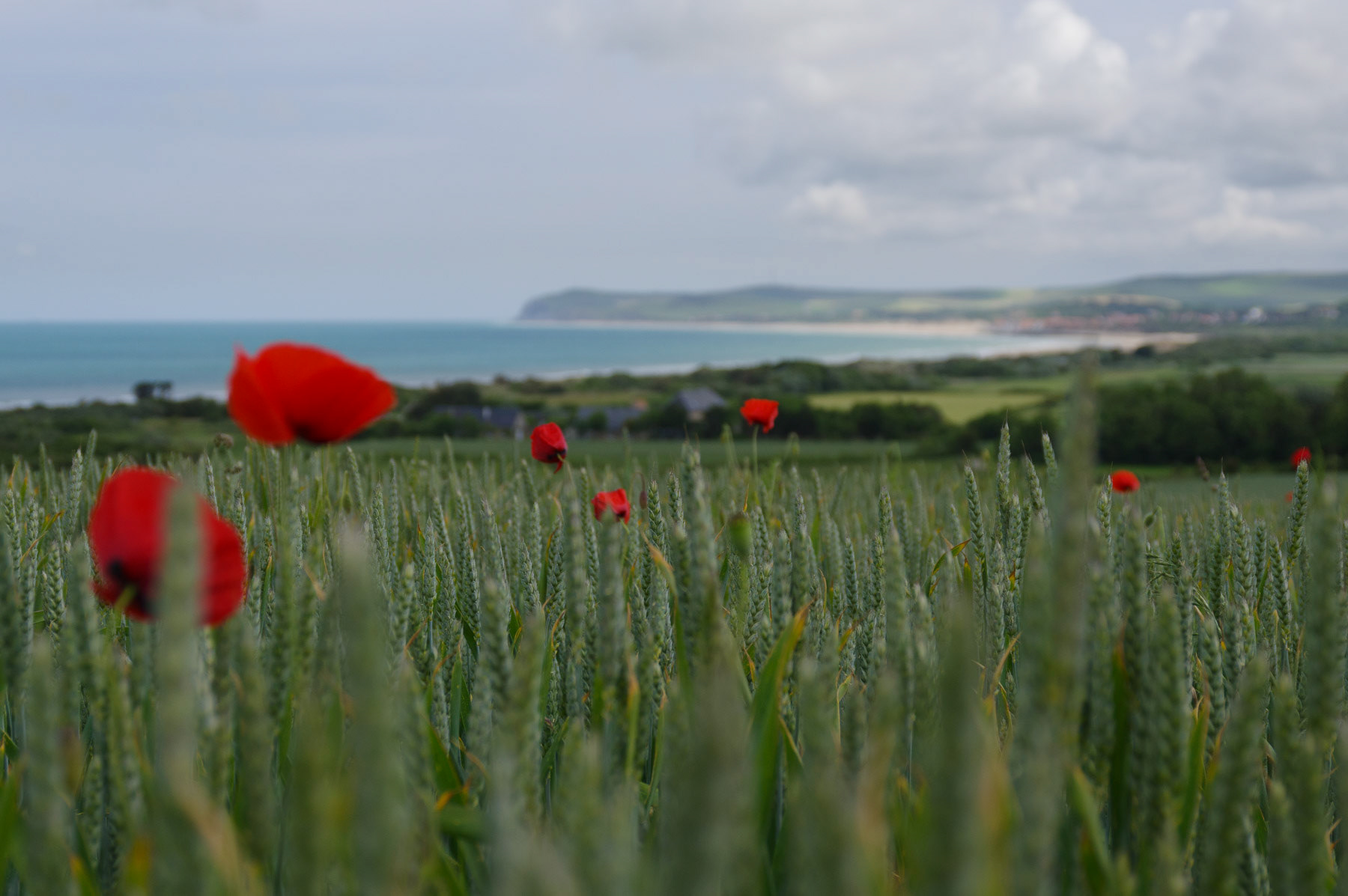 Gezicht op Cap Blanc Nez