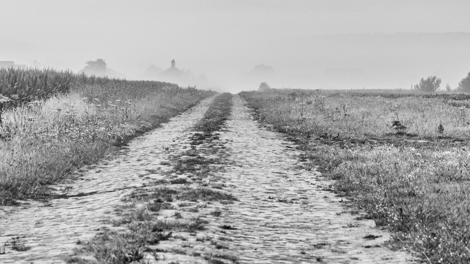 Biervliet, Bolderweg