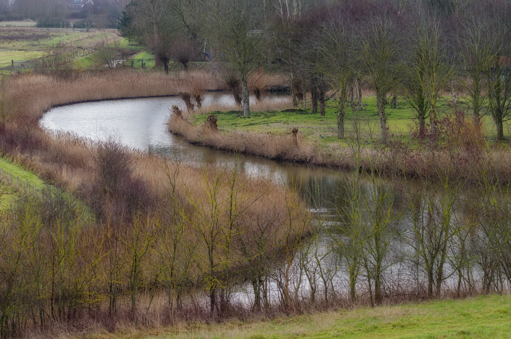 Vanaf de dijk langs de Schelde kijk je de polder in.