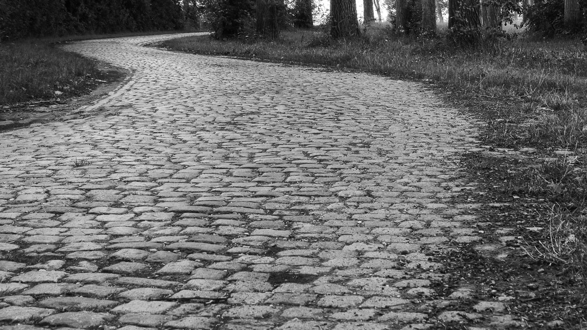 Axel, Plattedijk