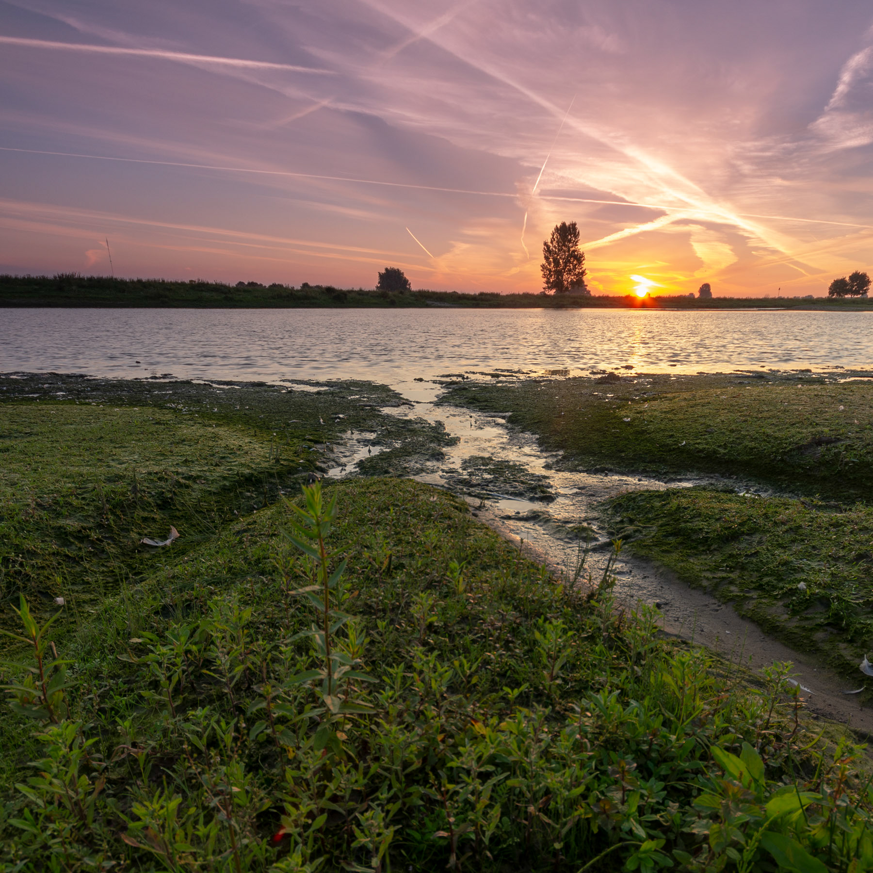 Zonsopkomst in de zomer