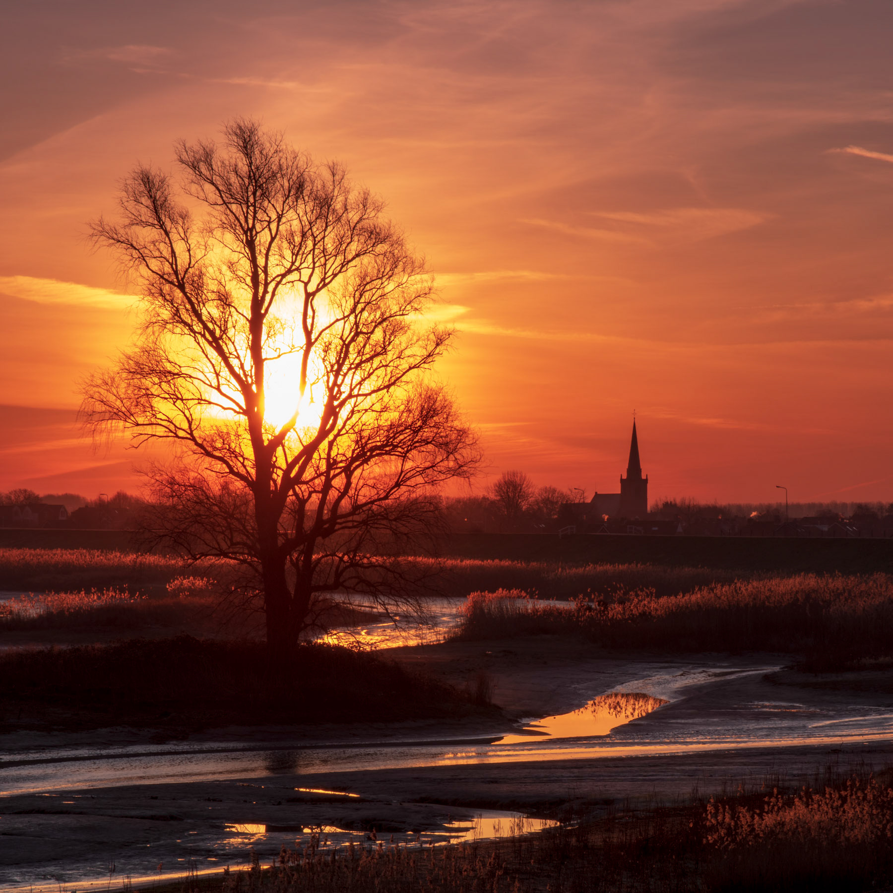 "Brandend riet"