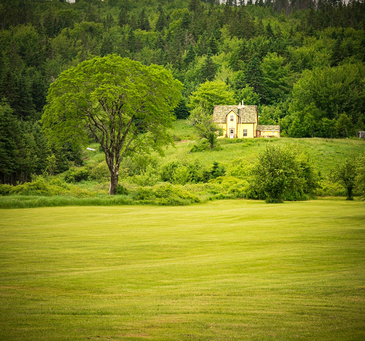 Beautiful green meadows, contrast from firstl settlers.