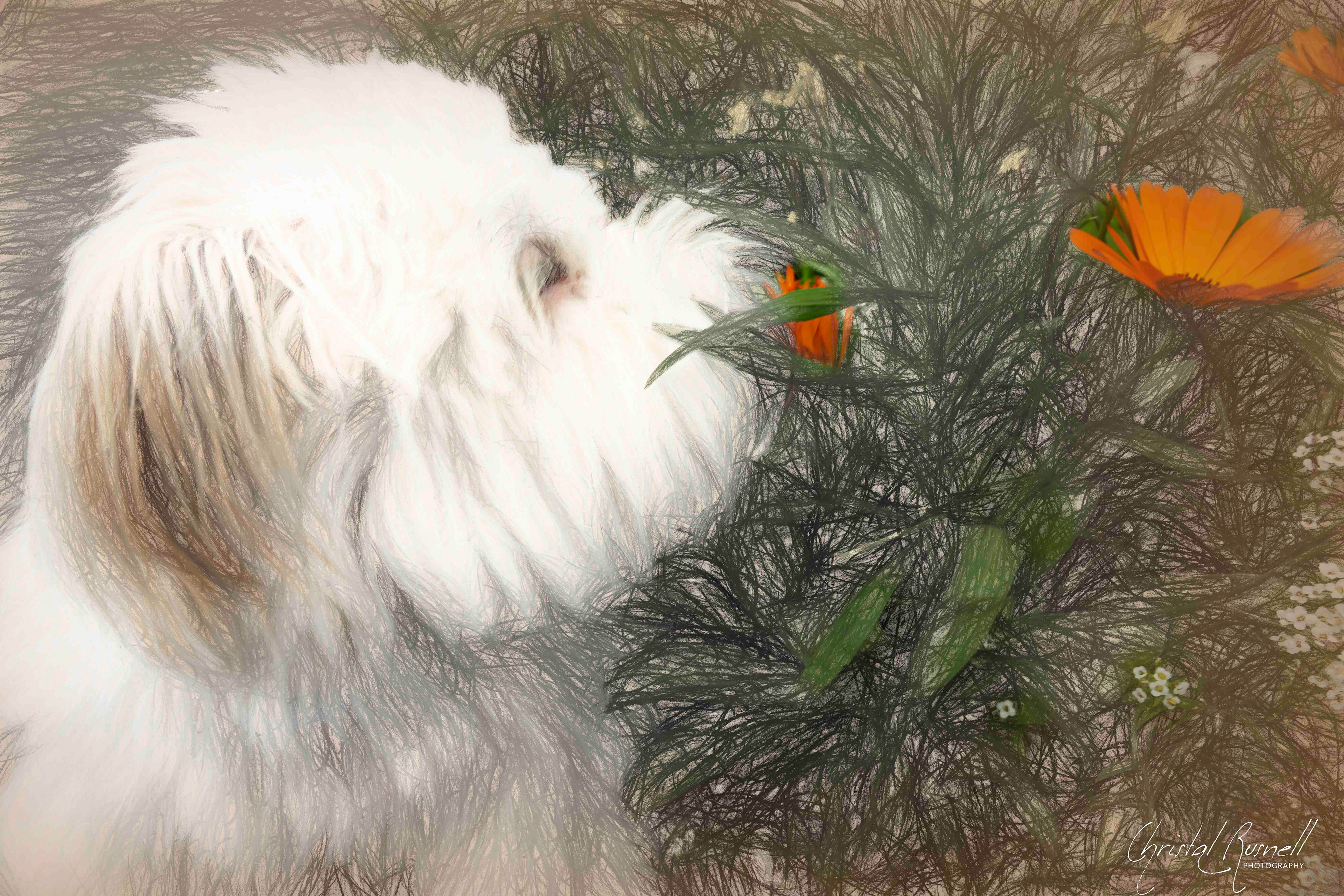 Stop and smell the flowerrs.