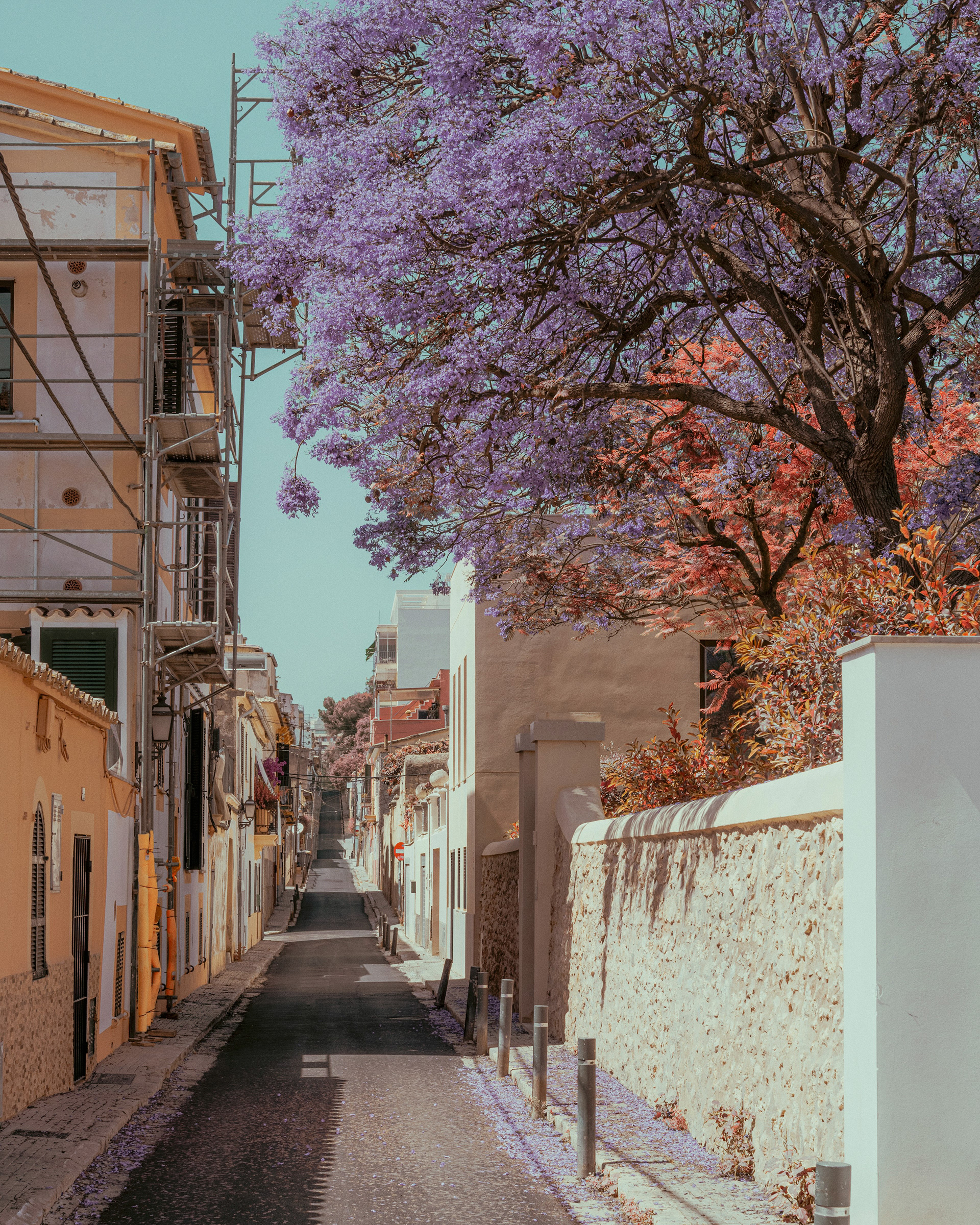 Palma de Mallorca